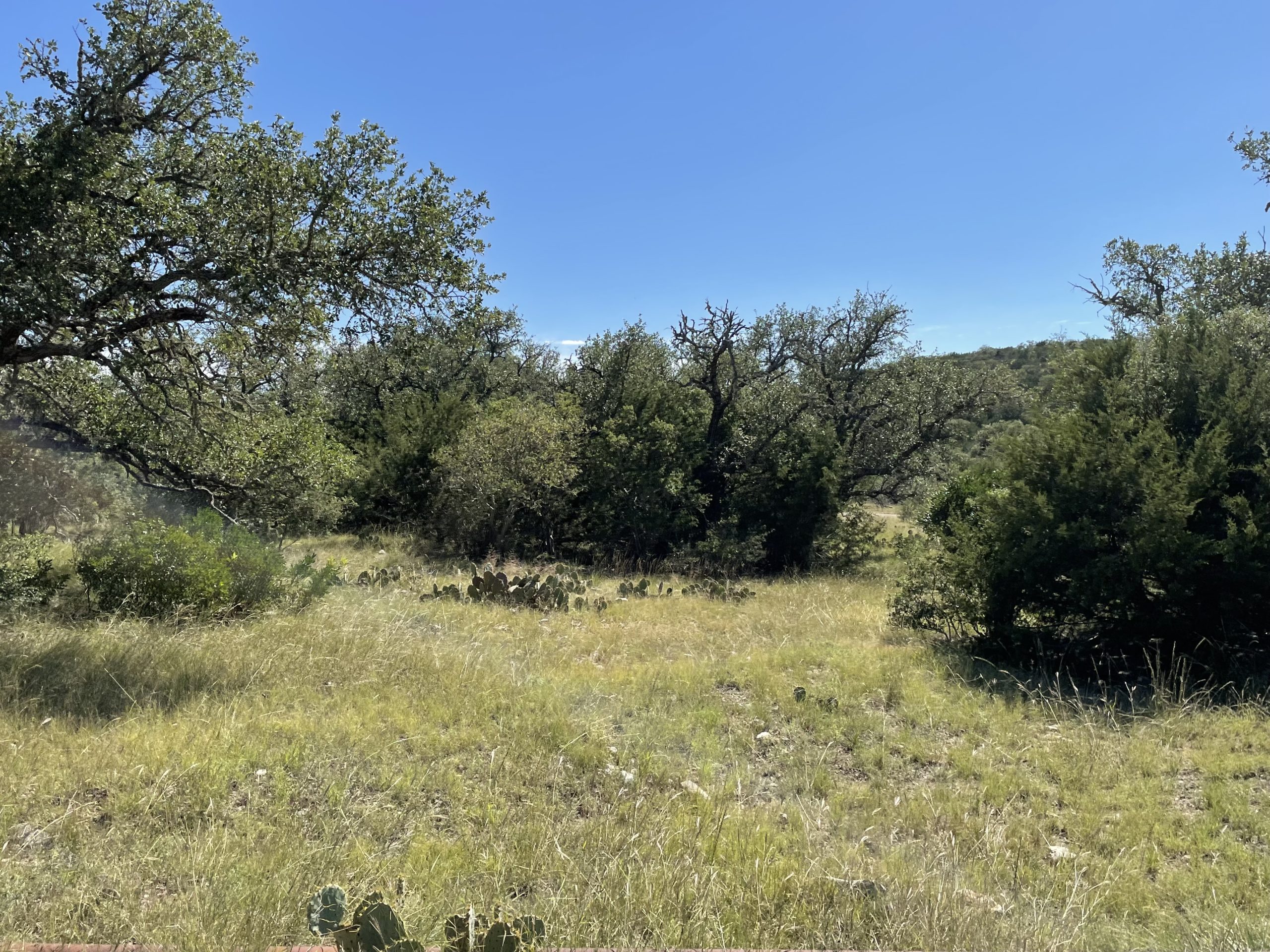 Texana Oaks Ranch » Texas Owner Finance Ranches 5 DOWN