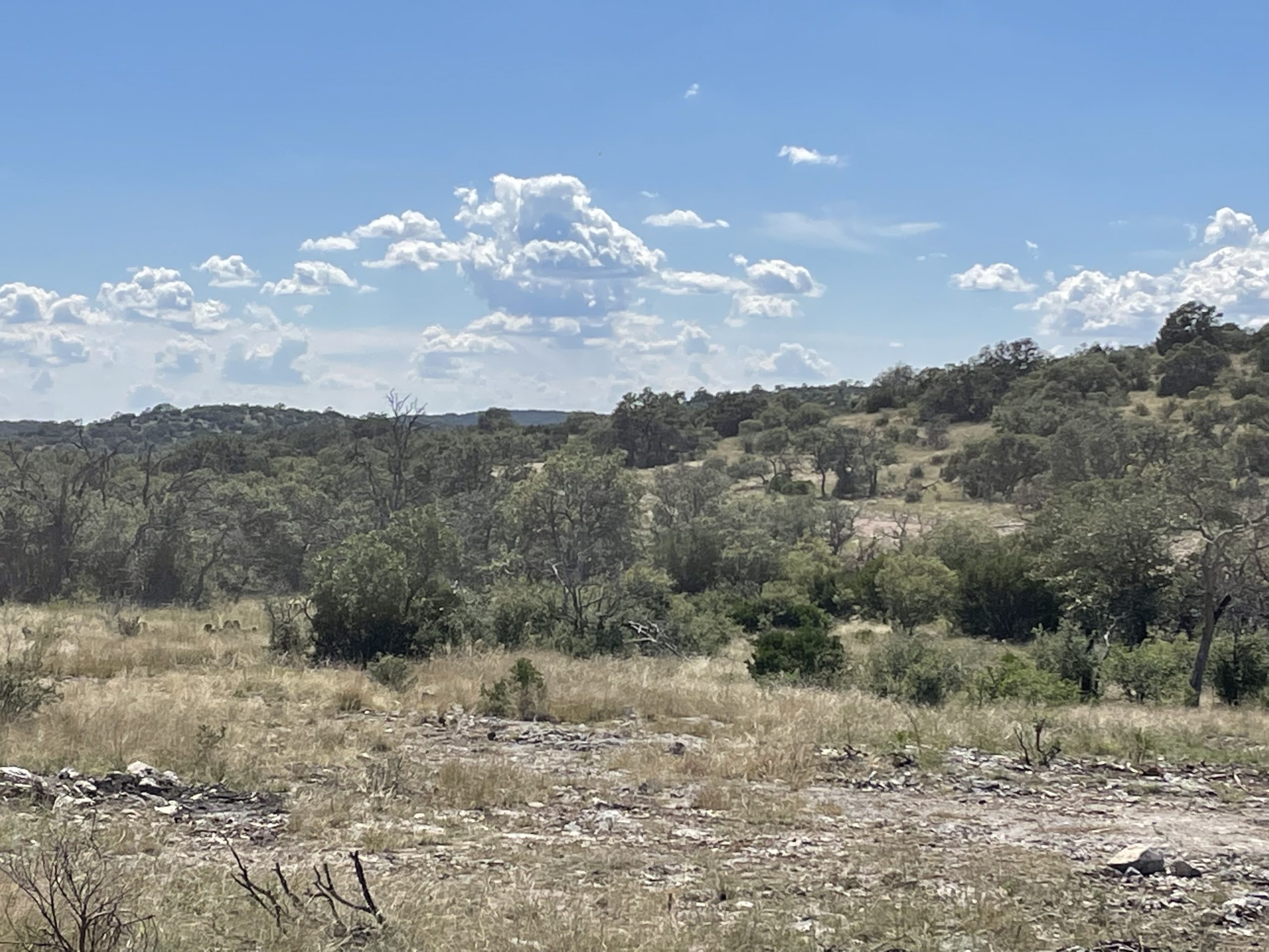 Texana Oaks Ranch » Texas Owner Finance Ranches 5 DOWN