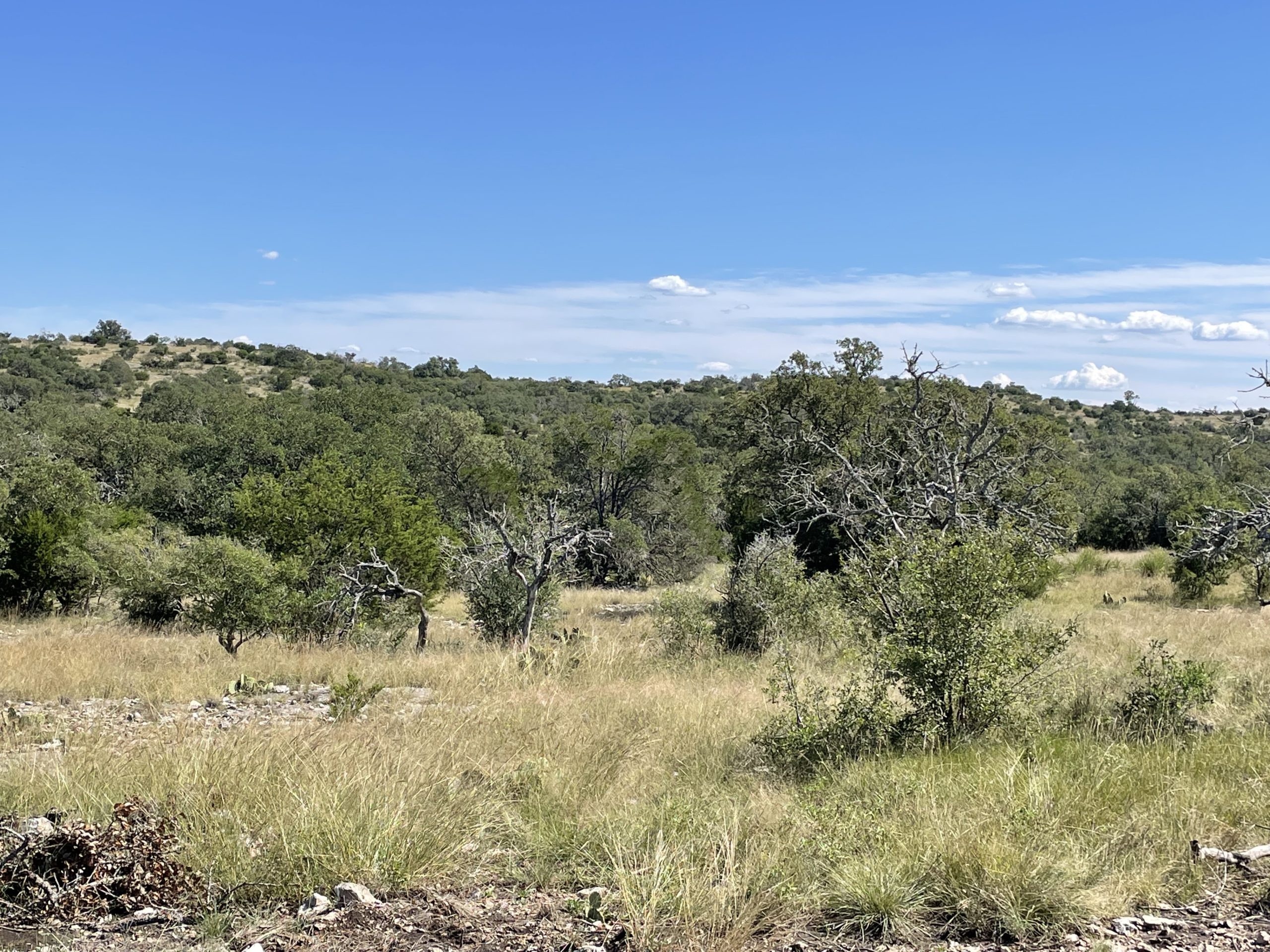 Texana Oaks Ranch » Texas Owner Finance Ranches 5 DOWN