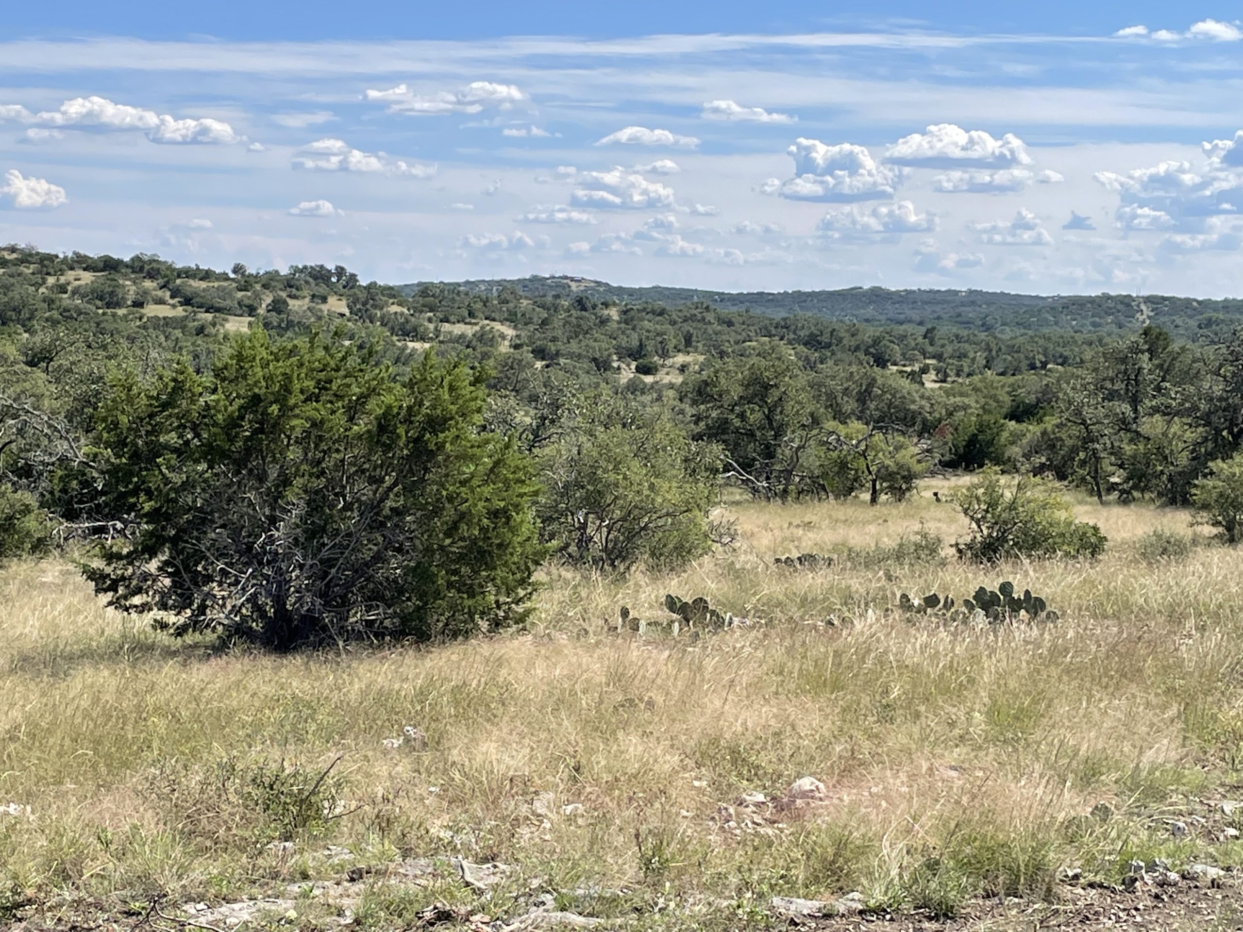 Texana Oaks Ranch » Texas Owner Finance Ranches 5 DOWN