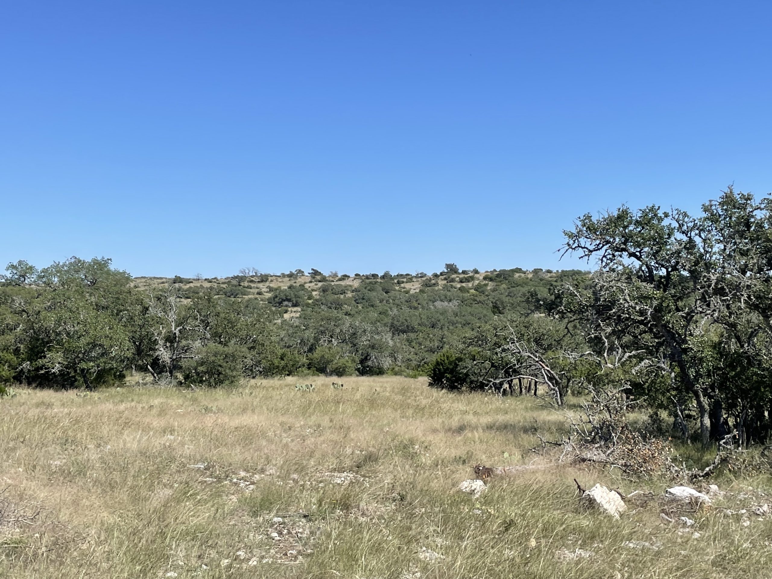 Texana Oaks Ranch » Texas Owner Finance Ranches 5 DOWN