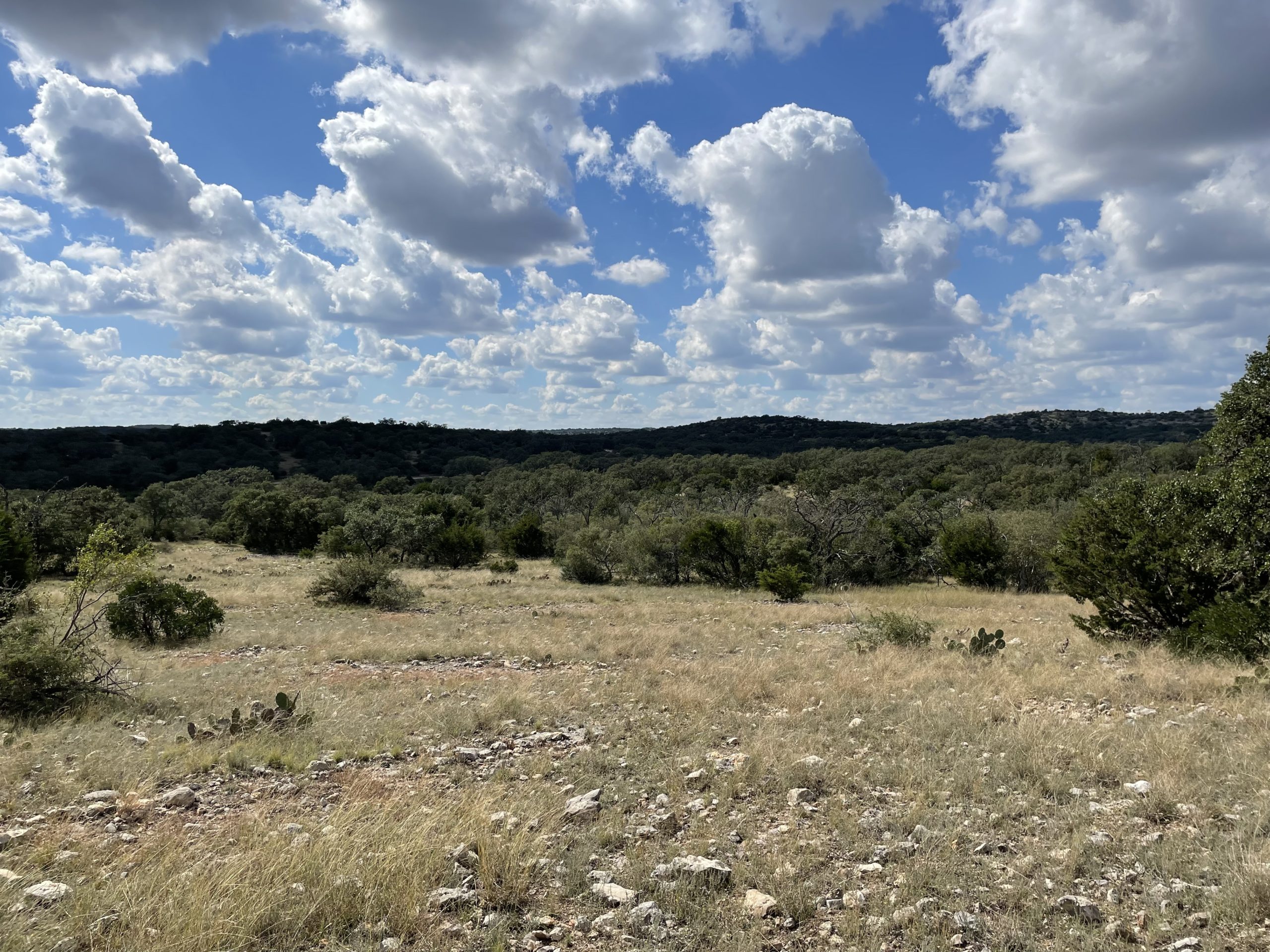 Texana Oaks Ranch » Texas Owner Finance Ranches 5 DOWN
