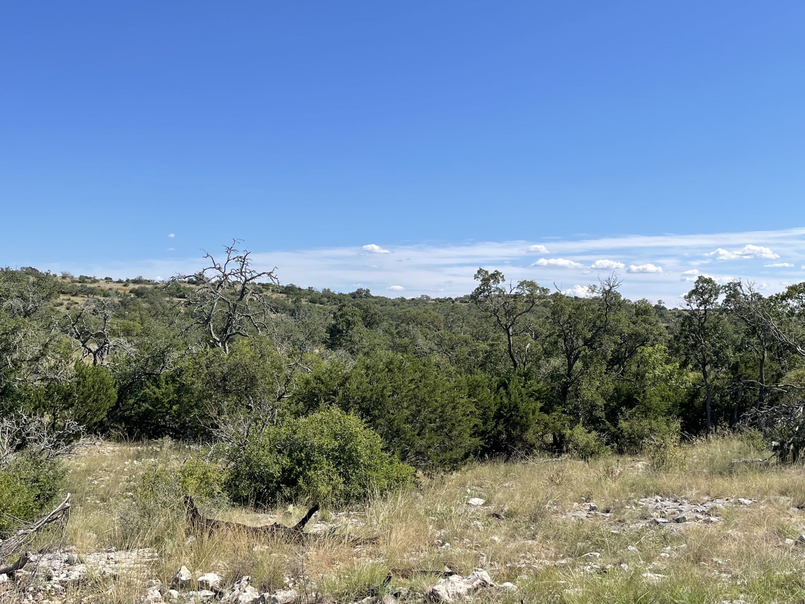 Texana Oaks Ranch » Texas Owner Finance Ranches 5 DOWN