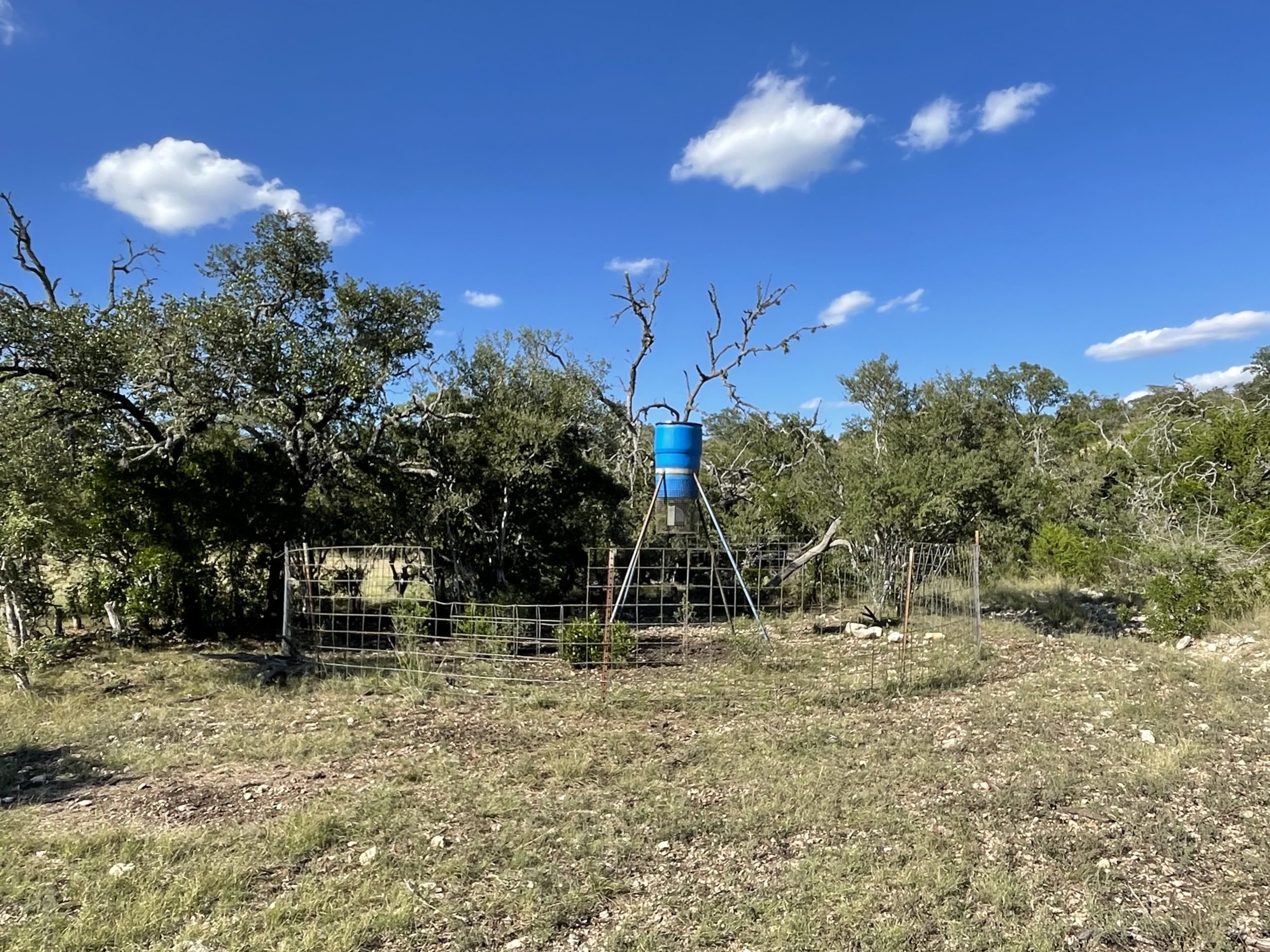 Texana Oaks Ranch » Texas Owner Finance Ranches 5 DOWN