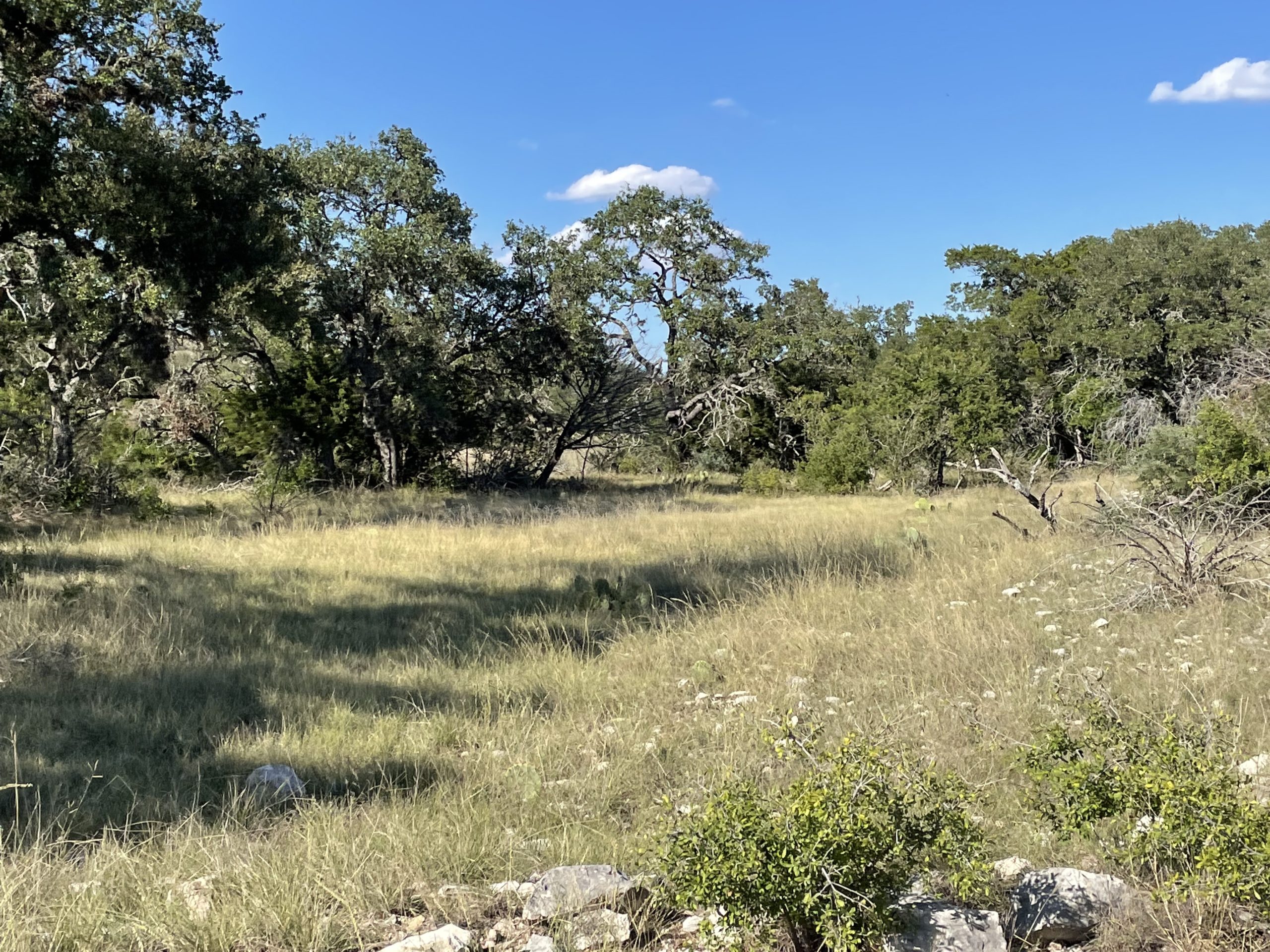 Texana Oaks Ranch » Texas Owner Finance Ranches 5 DOWN