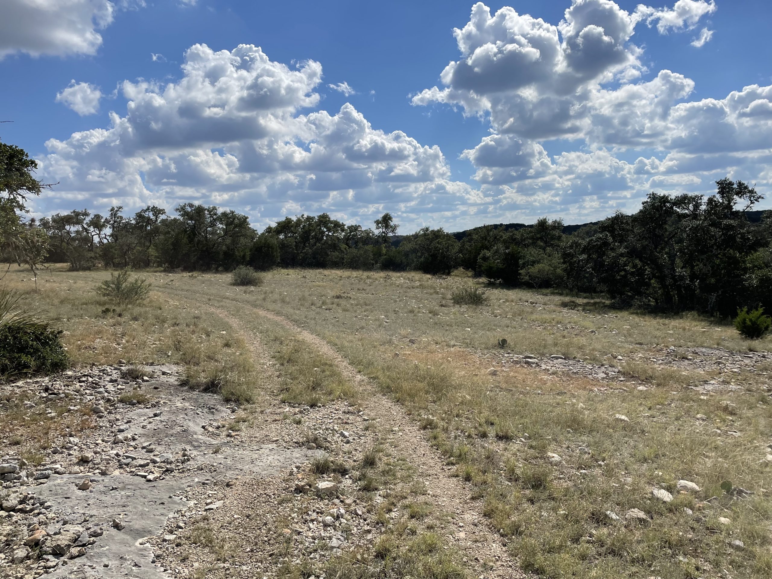 Texana Oaks Ranch » Texas Owner Finance Ranches 5 DOWN