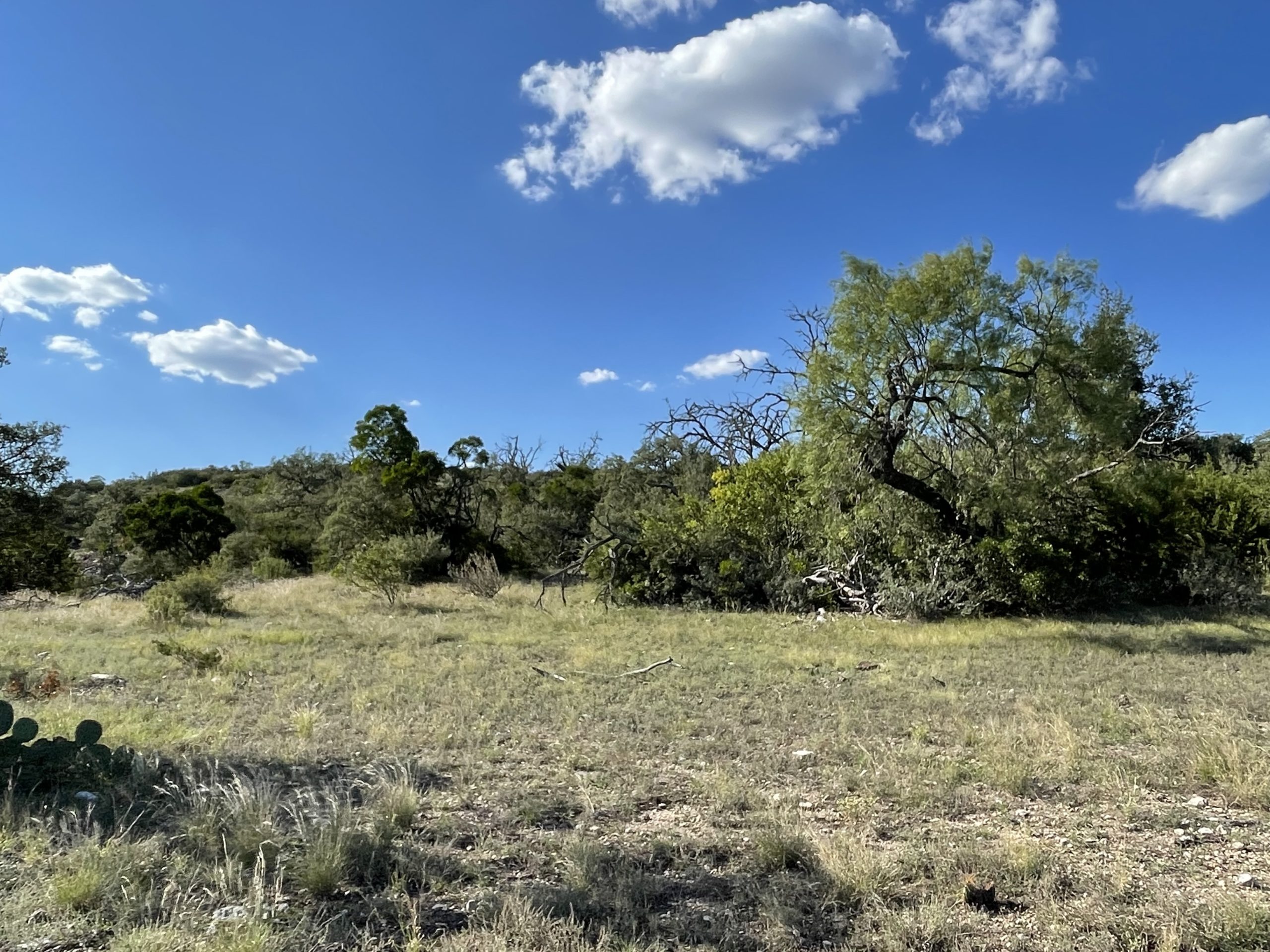 Texana Oaks Ranch » Texas Owner Finance Ranches 5 DOWN