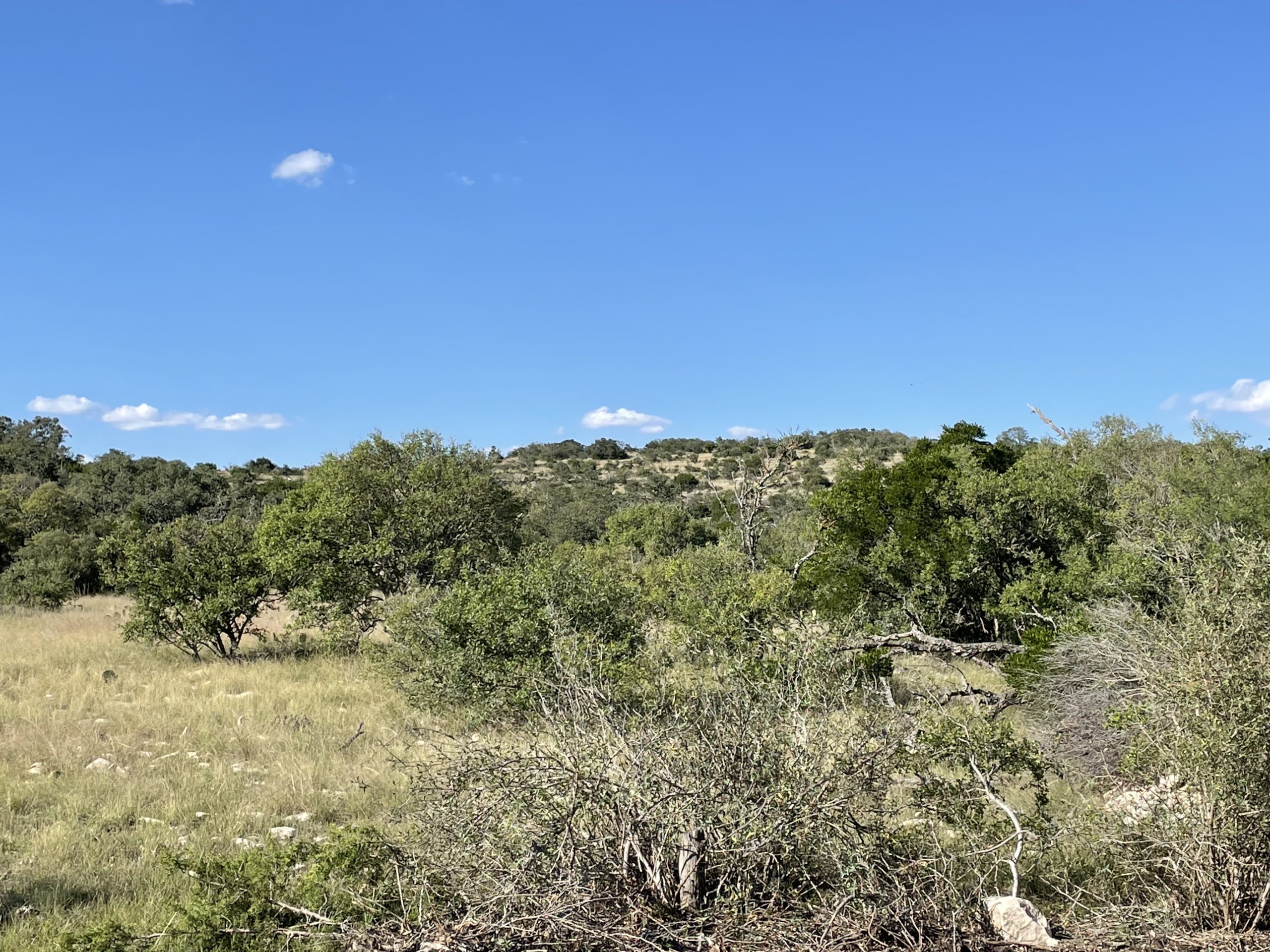 Texana Oaks Ranch » Texas Owner Finance Ranches 5 DOWN