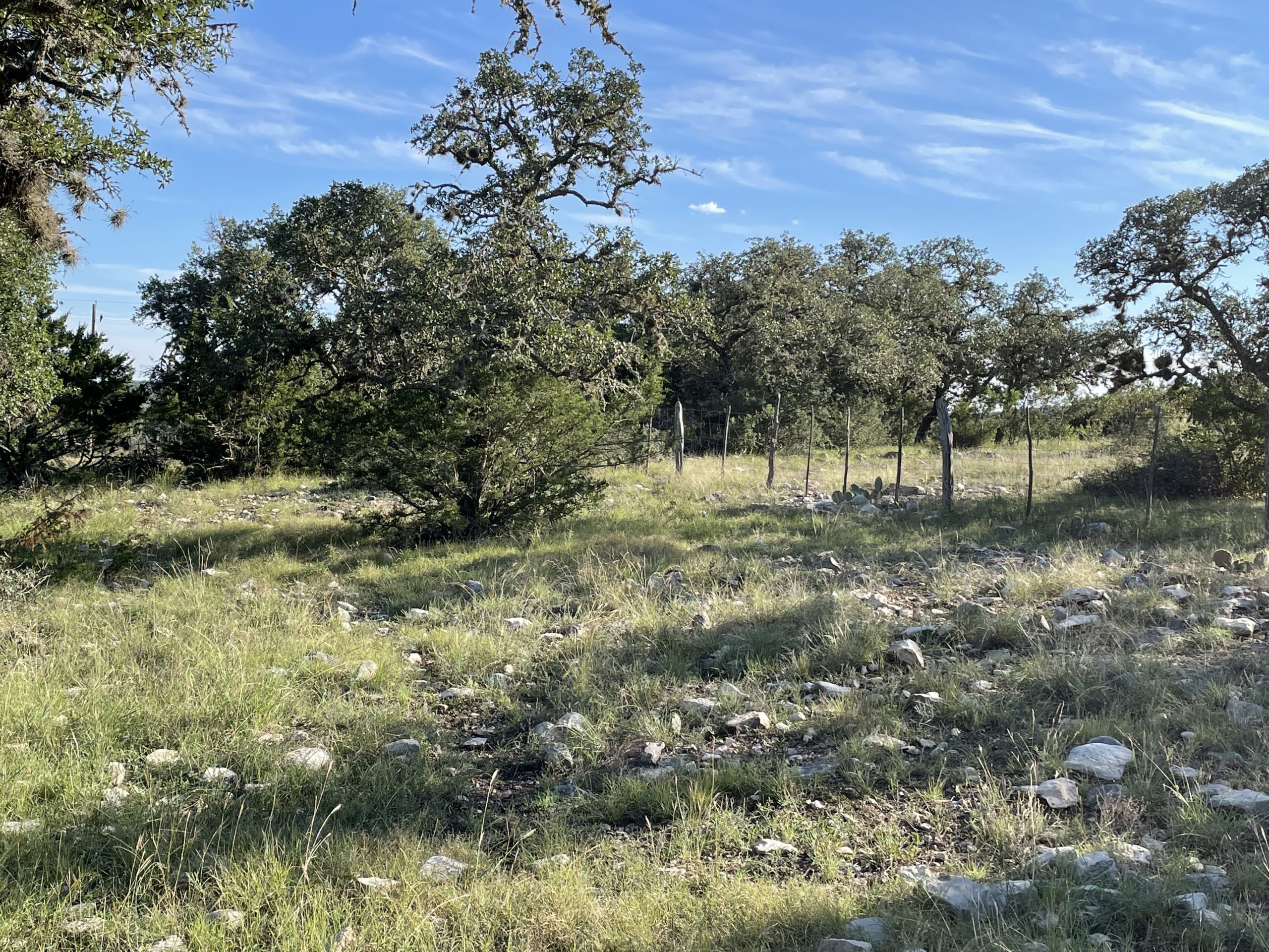 Texana Oaks Ranch » Texas Owner Finance Ranches 5 DOWN