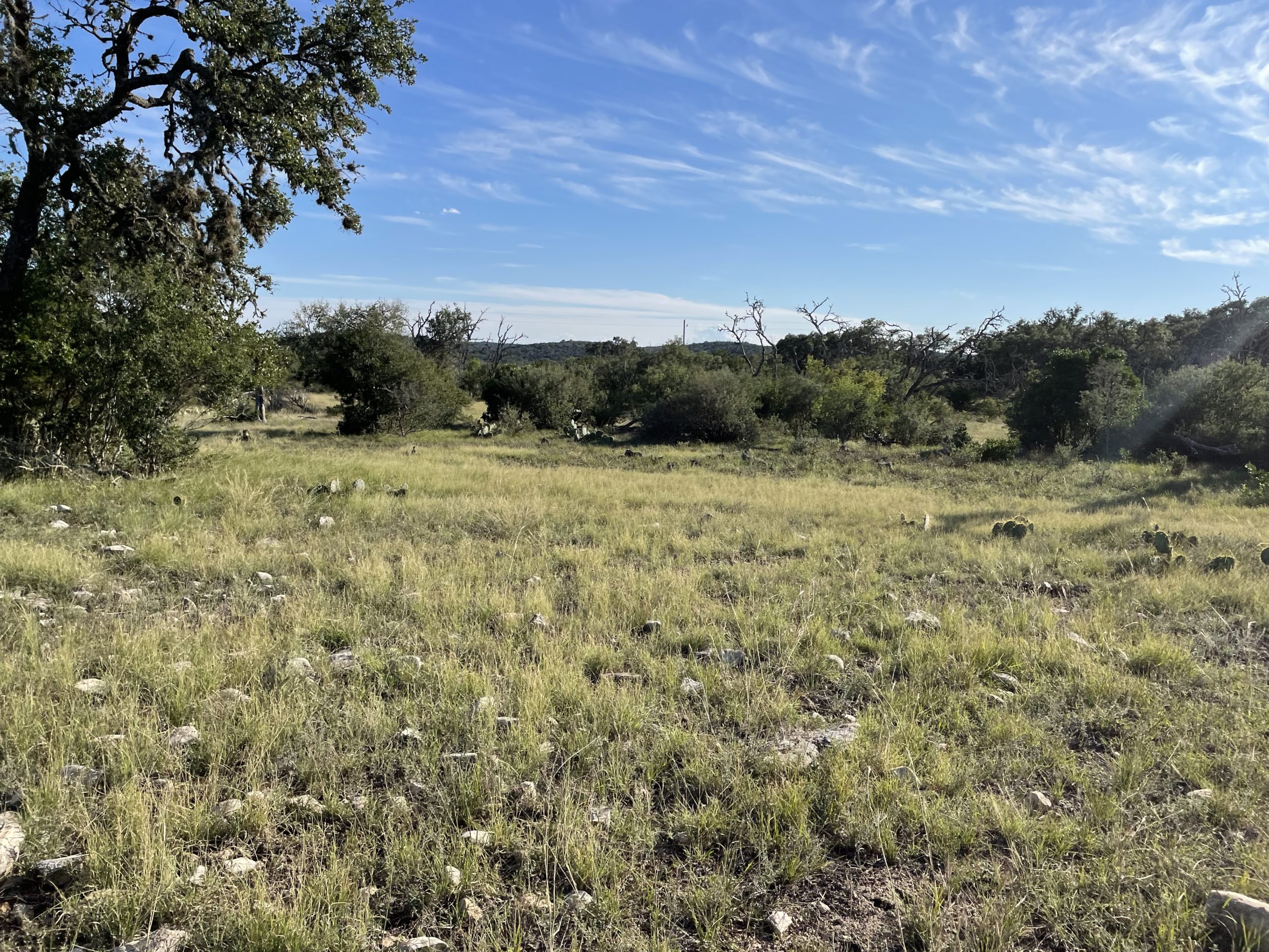 Texana Oaks Ranch » Texas Owner Finance Ranches 5 DOWN