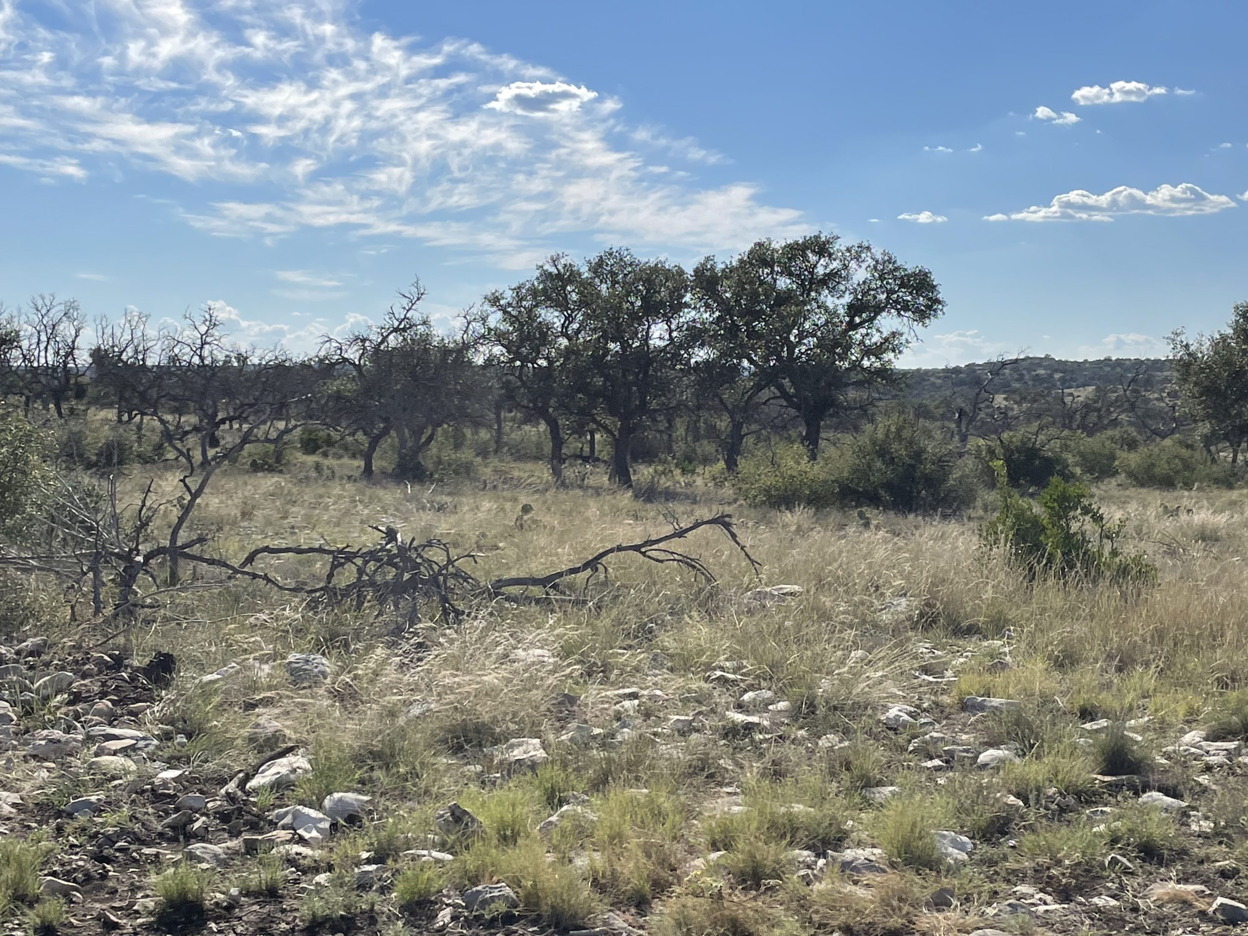 Texana Oaks Ranch » Texas Owner Finance Ranches 5 DOWN