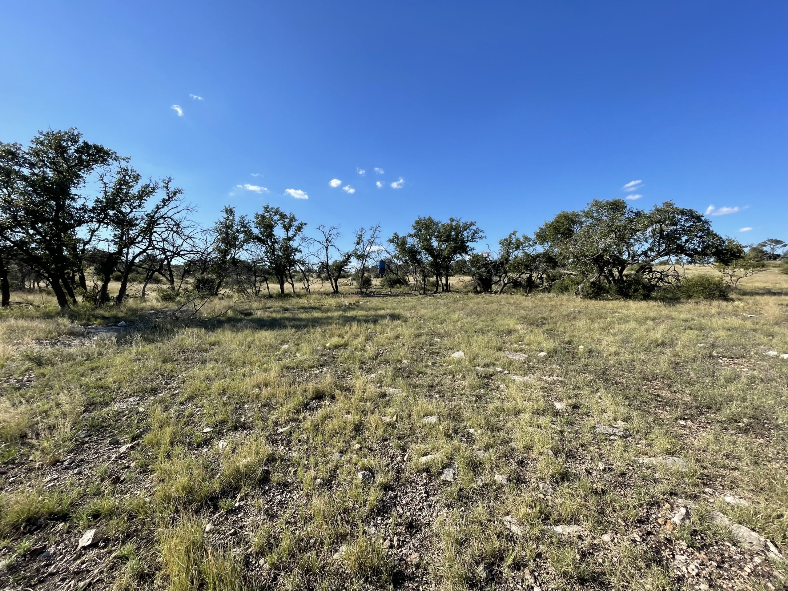 Texana Oaks Ranch » Texas Owner Finance Ranches 5 DOWN