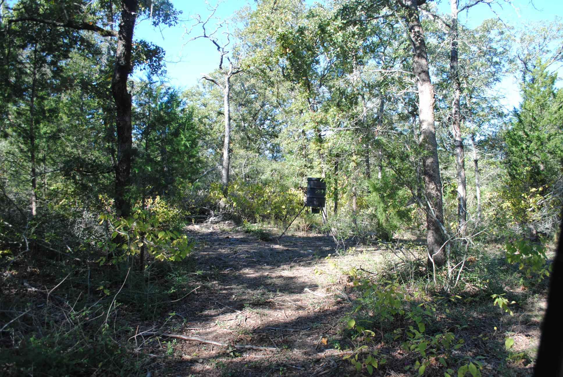 Milam County Wildlife and Hunting Retreat TX Rec Land Real Estate