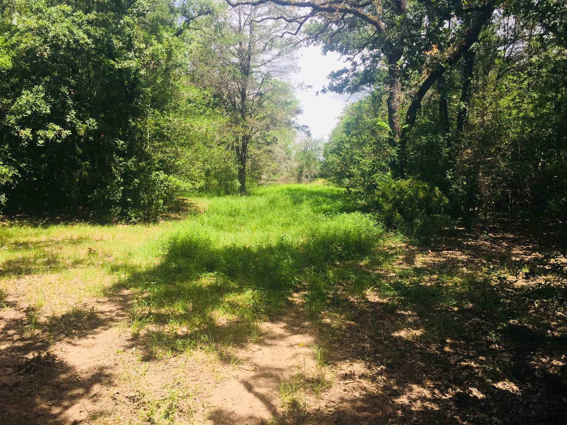 56 acres in Lee County, Texas TX Rec Land Real Estate
