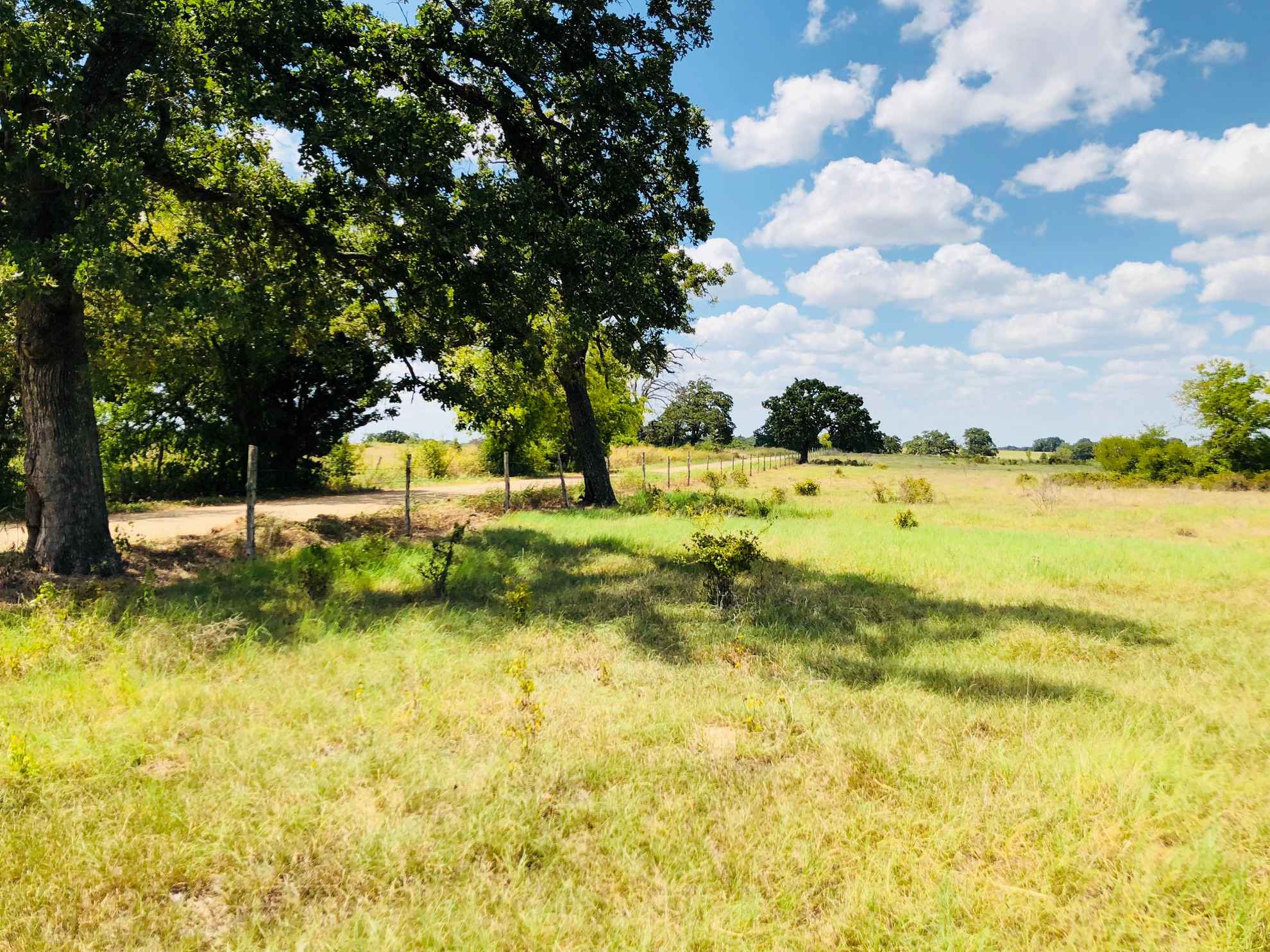 50 acres in Milam County, Texas TX Rec Land Real Estate