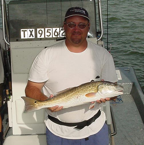wading belts... Texas Saltwater Fishing Guide
