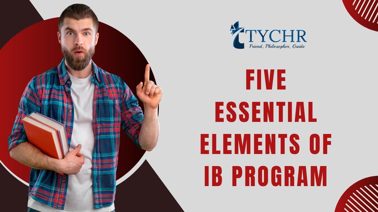 Inside the IB Program Your Path to Excellence TYCHR Blog