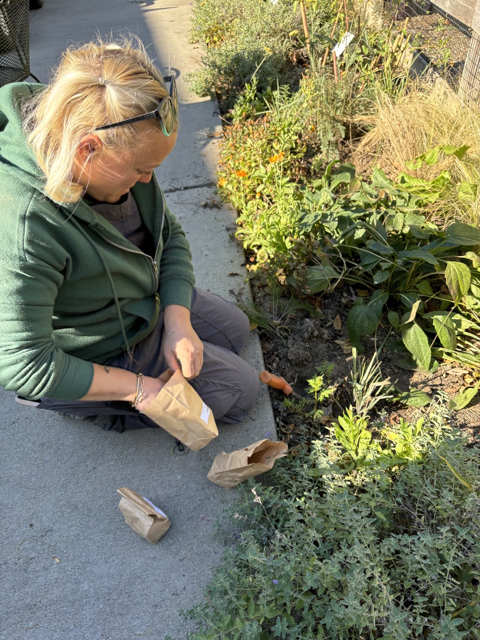 Bulb Planting for Beginners Tyler Arboretum