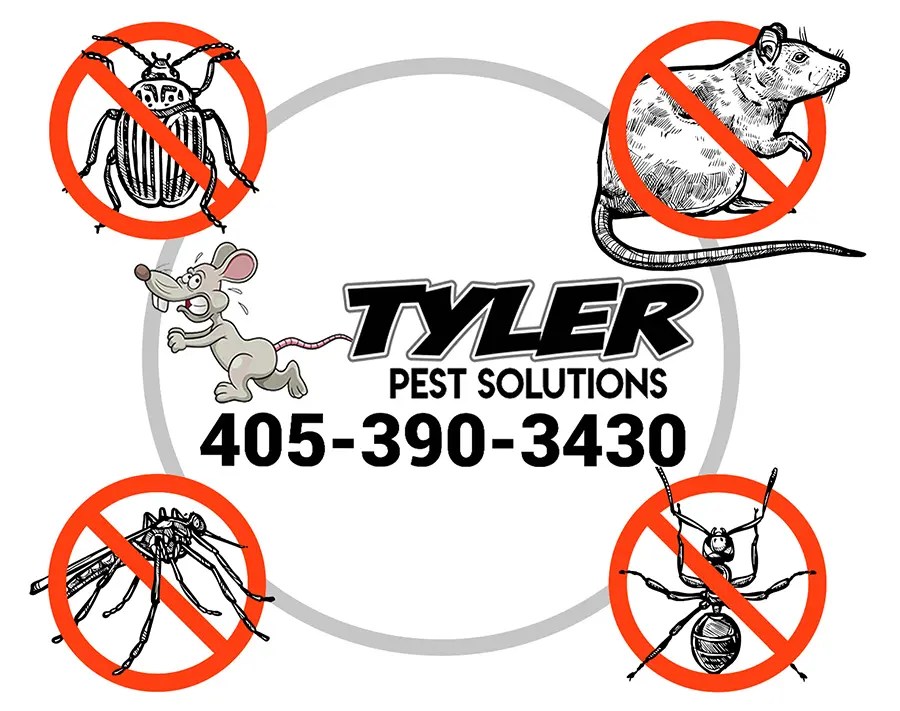 Pest Control Midwest City Tyler Pest Solutions