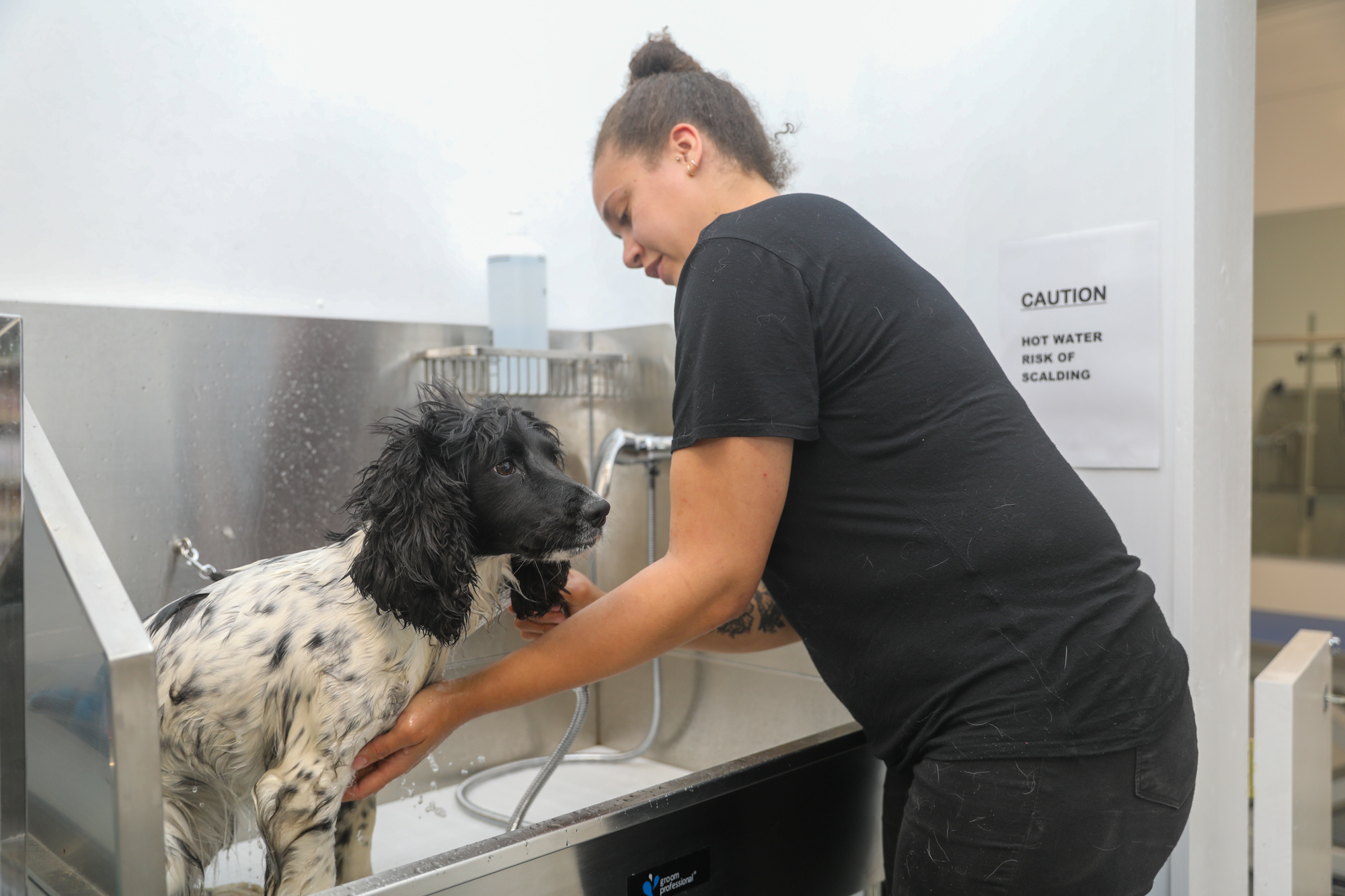 Pet Grooming Services Tynwald Mills