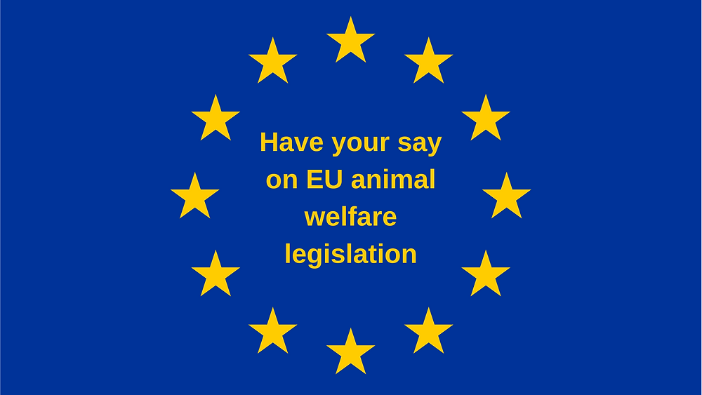 Sweden's Satisfactory Animal Welfare Law Typelish