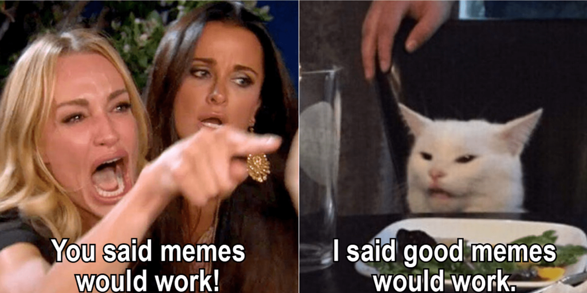 Meme Culture And How It Became An Integral Part Of Social Media Typelish
