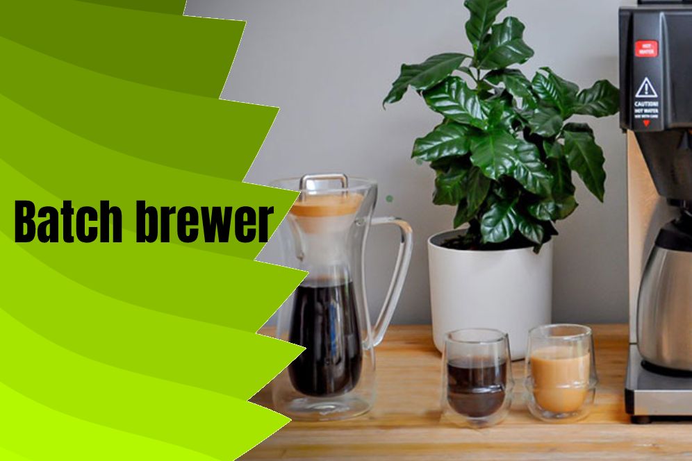 How to Make Batch Brew Filter Coffee in 2024 typescoffee