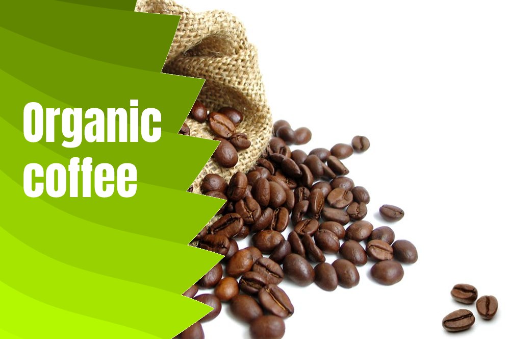 Organic Coffee Beans VS Regular Coffee Introducing the Best Brand Of