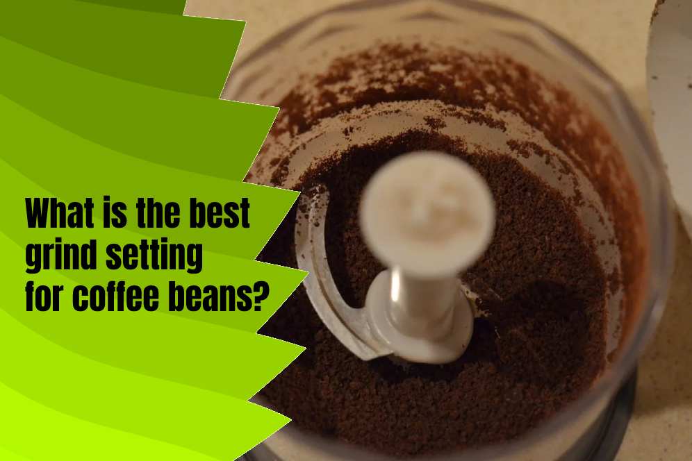 How to Grind Coffee Beans With a Food Processor at Home? typescoffee