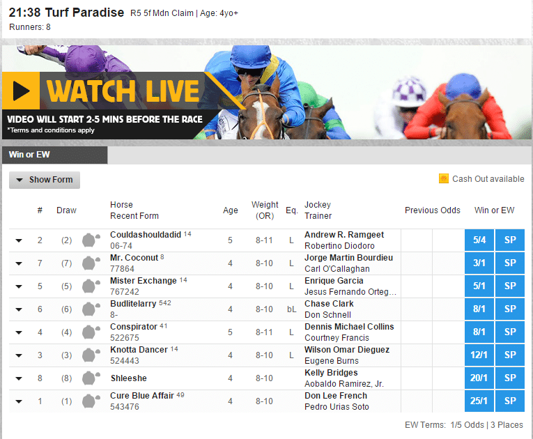 Horse Racing Betting Odds Factors that Change the Odds