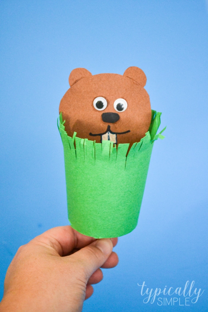 Groundhog Puppet Craft for Kids Typically Simple