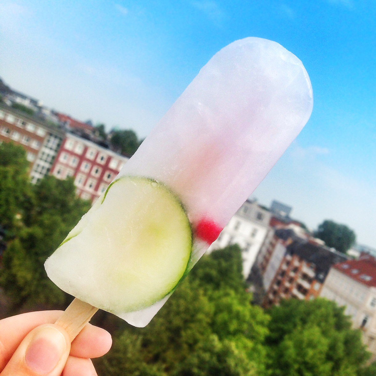Puro Ice Pops Eis geht einfach immer! Typisch Hamburch
