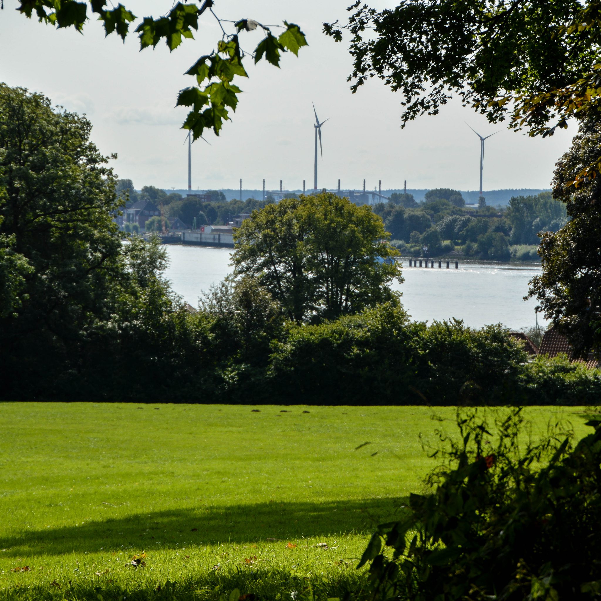 Jenischpark Endlose Weiten und uralte Bäume Typisch Hamburch