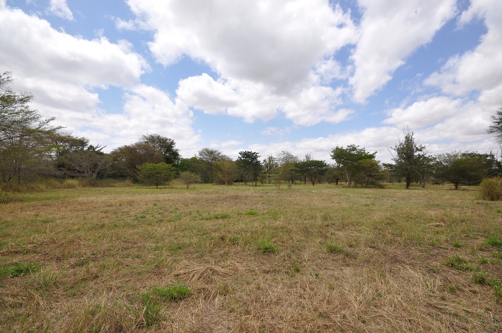 Land for Sale in Usa River, Arusha Tzagents