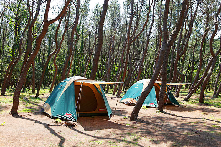 UBASE キャンプのベストシーズンが到来！UBASE湘南スタッフがオススメする近郊のキャンプ場。