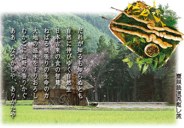 山笑う、山滴る、山装う、山眠る 遊歩のススメ