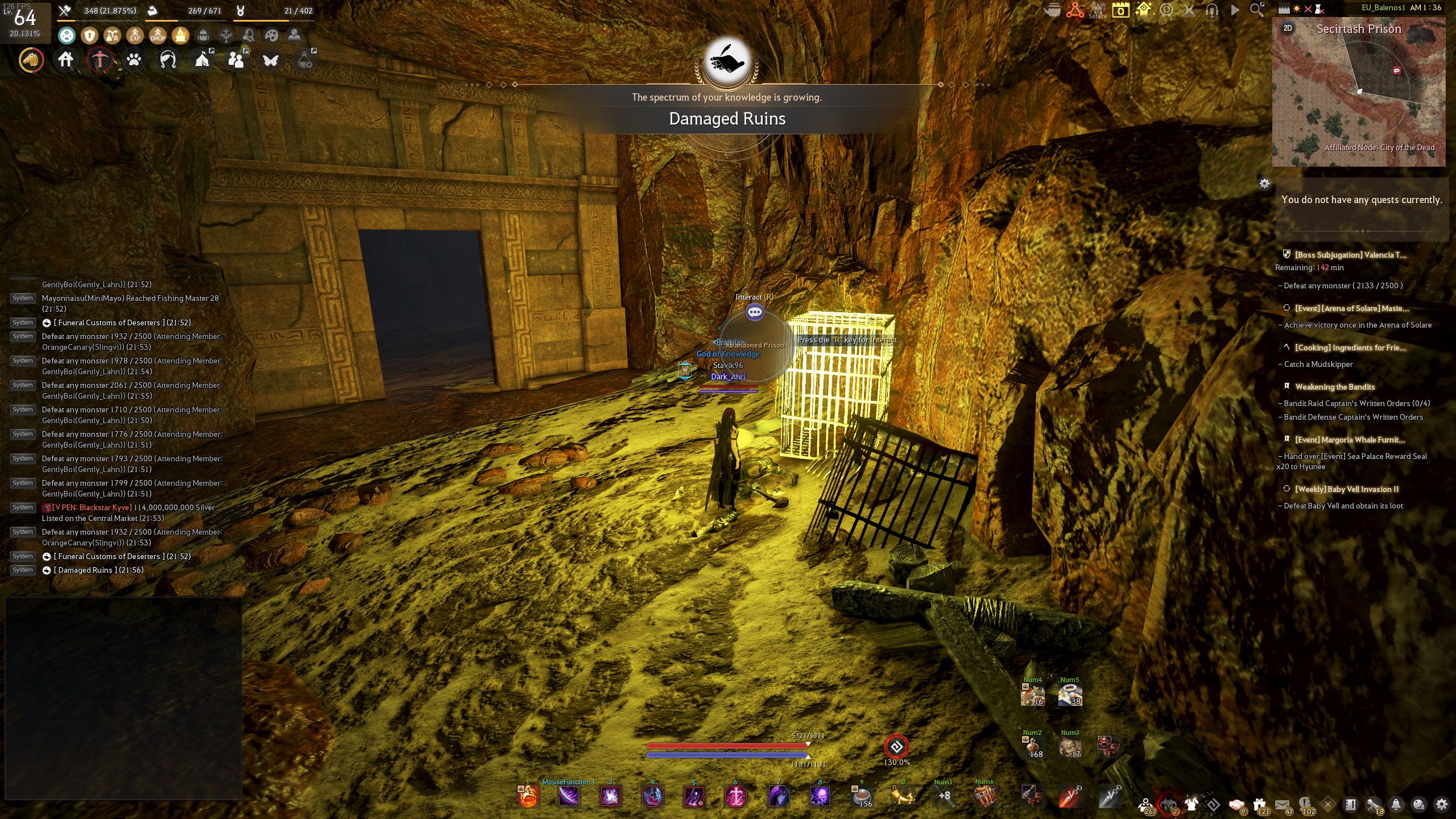 Damaged Ruins BDO Codex