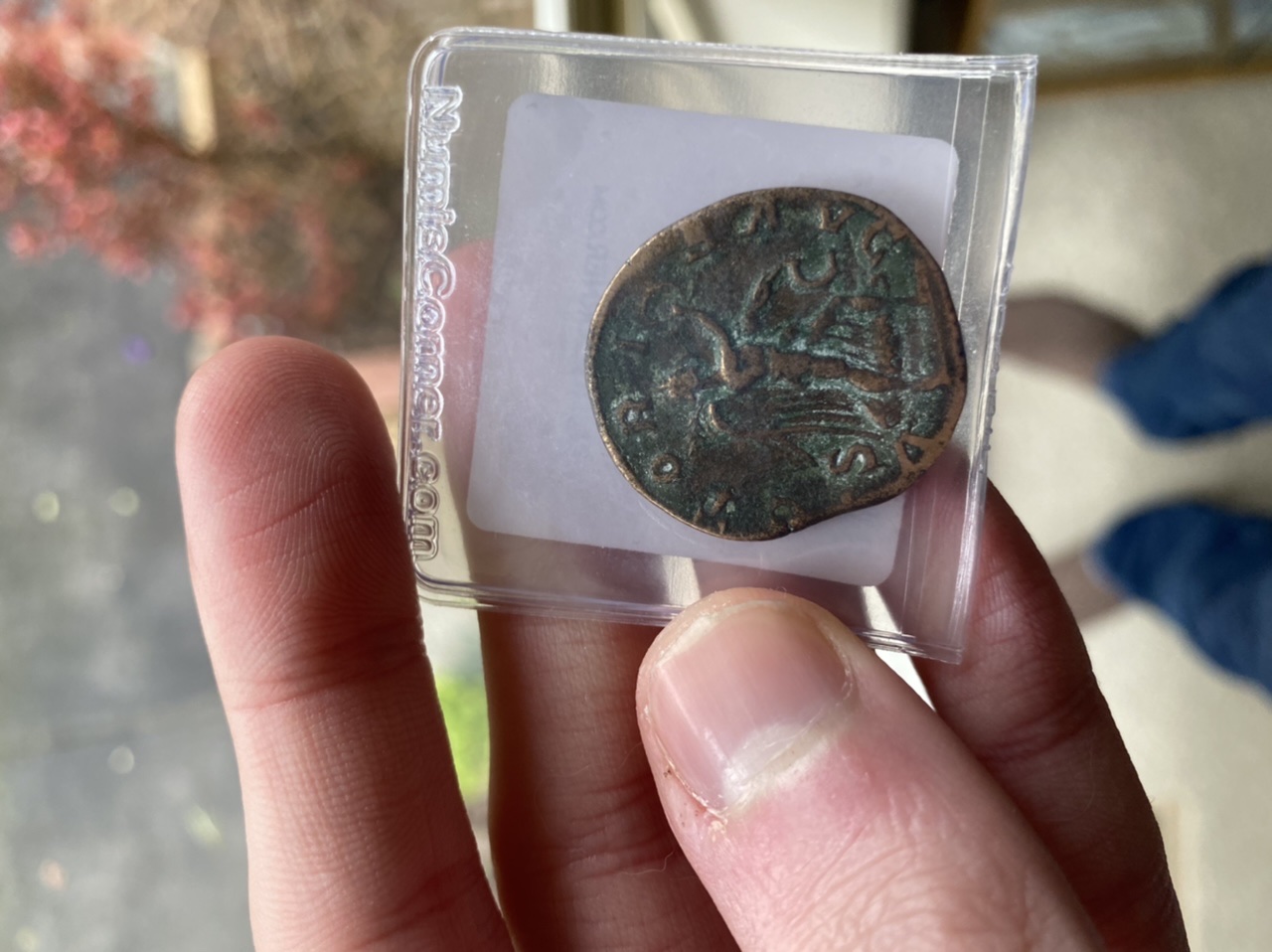 Is this bronze disease and if so how can I remove it? Coin Talk