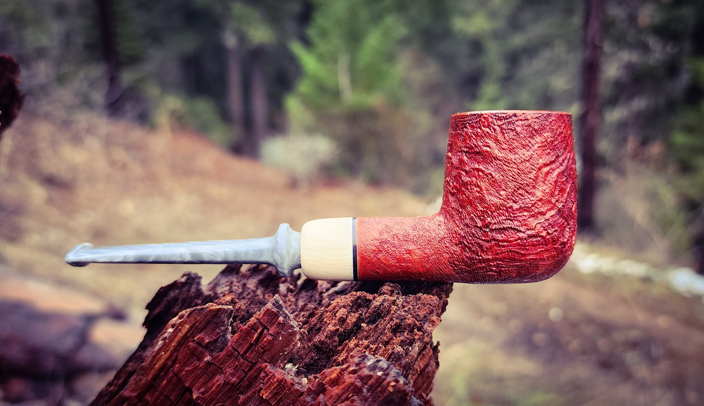 What Are You Smoking, January 2024? Page 82 Pipe Smokers Den