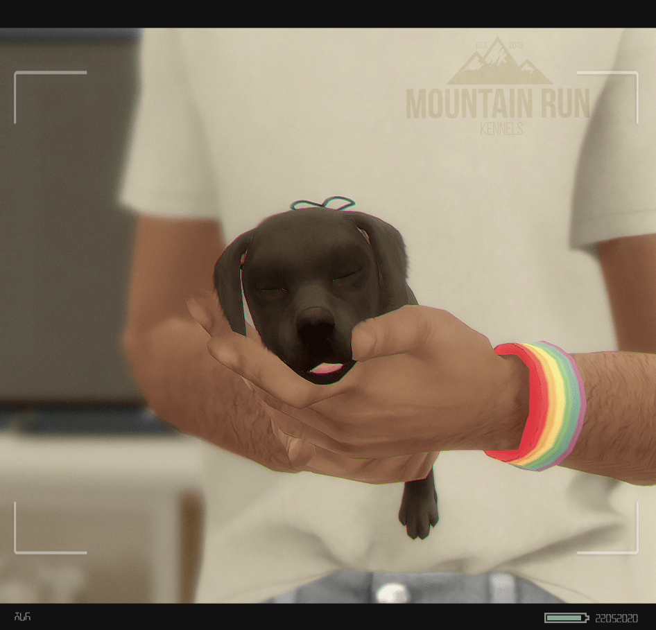 MTN's Whelping Box // Current [0] Planned [1] Sims International