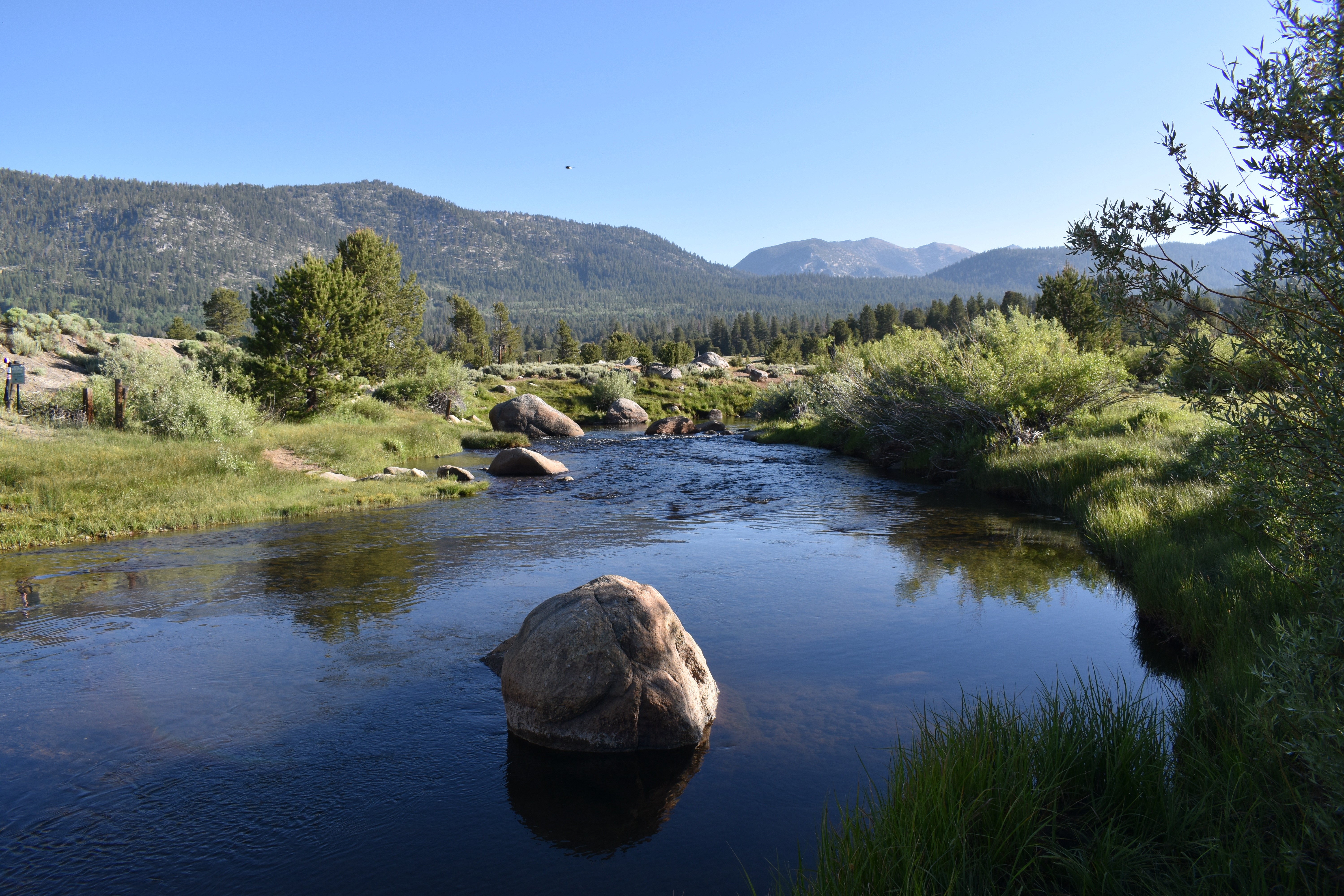 The Carson River flowing through Hope Valley, California on a peaceful