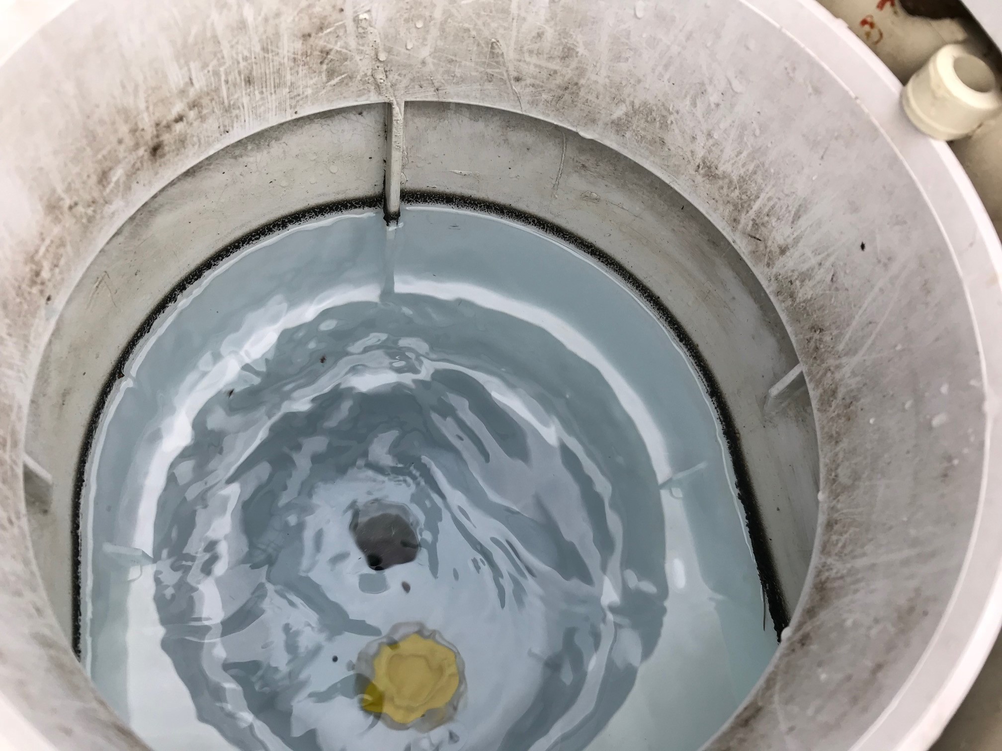 Oil / sludge residue on water line in skimmer Trouble Free Pool