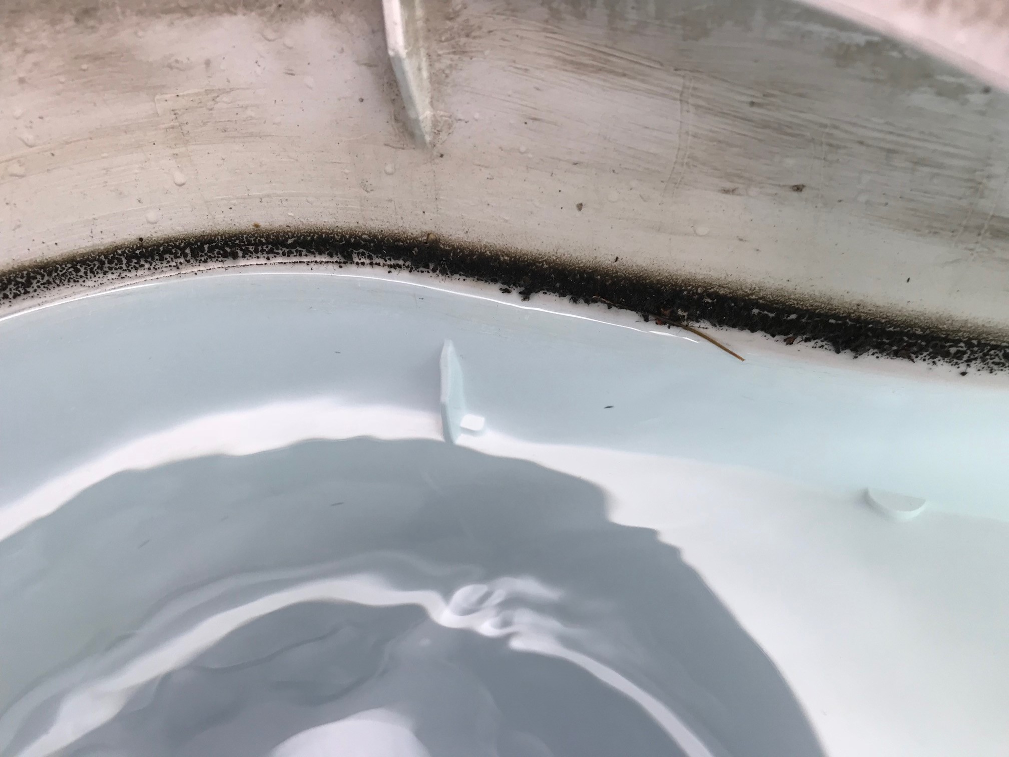 Oil / sludge residue on water line in skimmer Trouble Free Pool