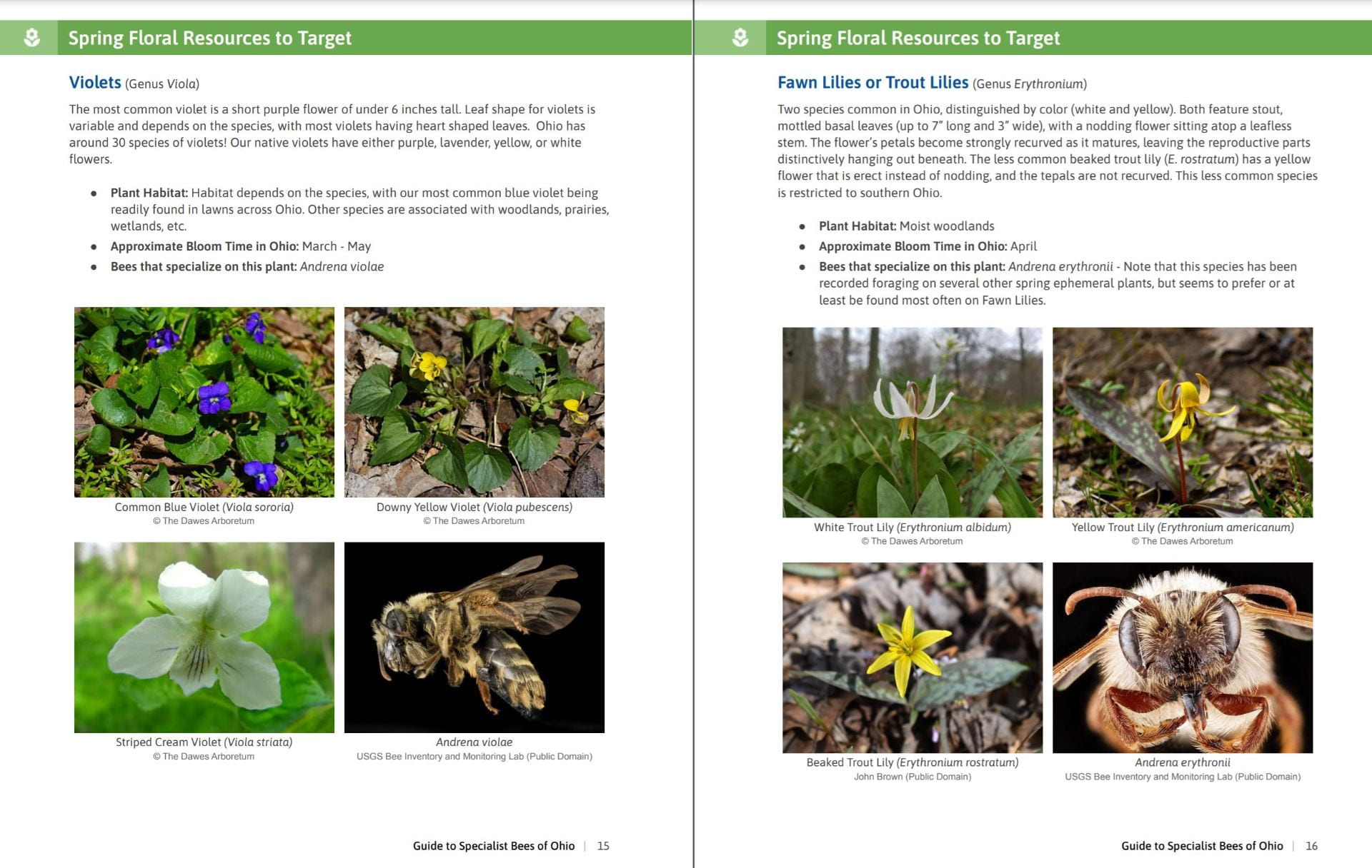 April 11th Specialist Bee Guide now available! Bee Survey