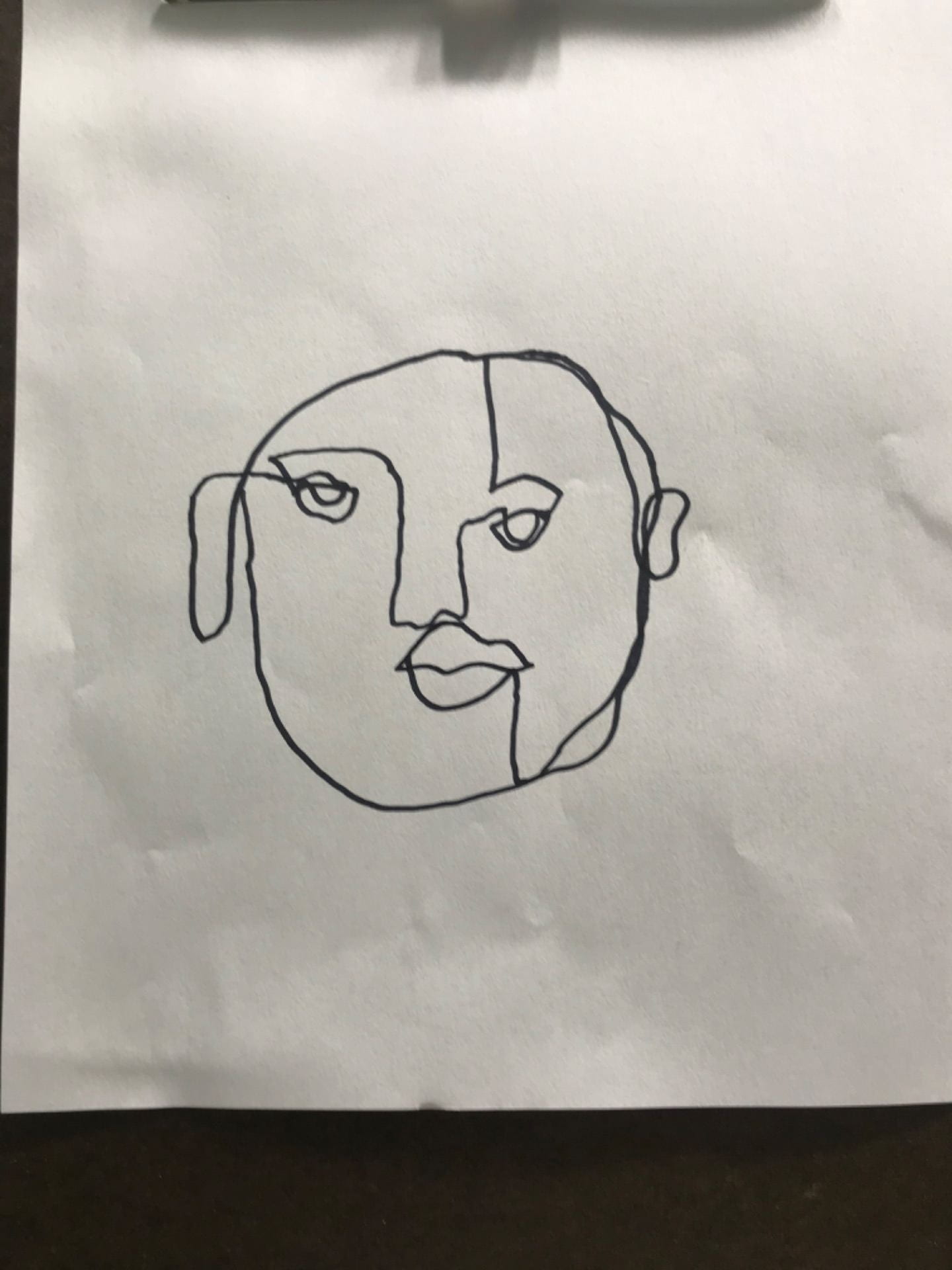 Contour drawings sanjana_art