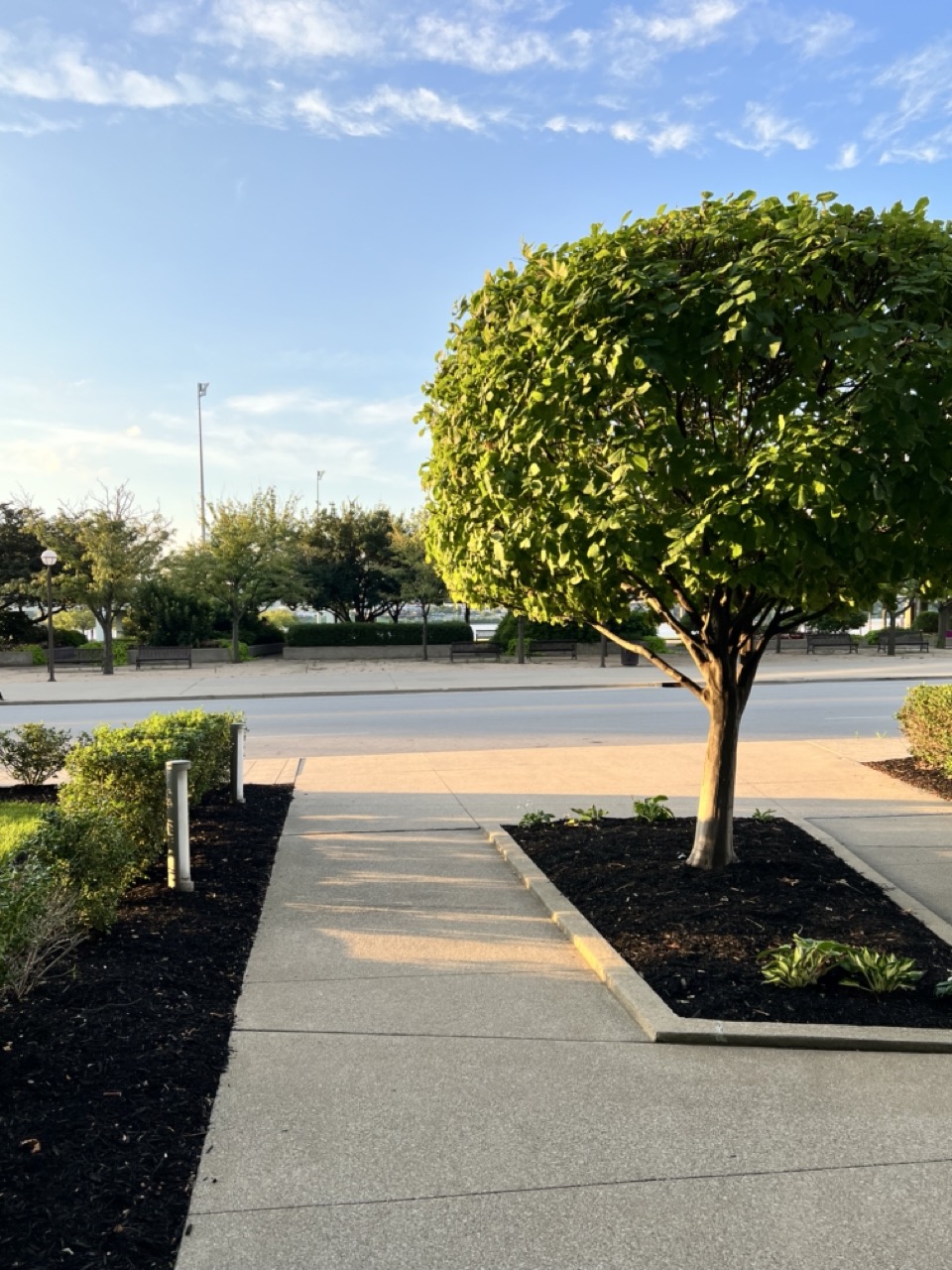 Waterfront Park Place real estate