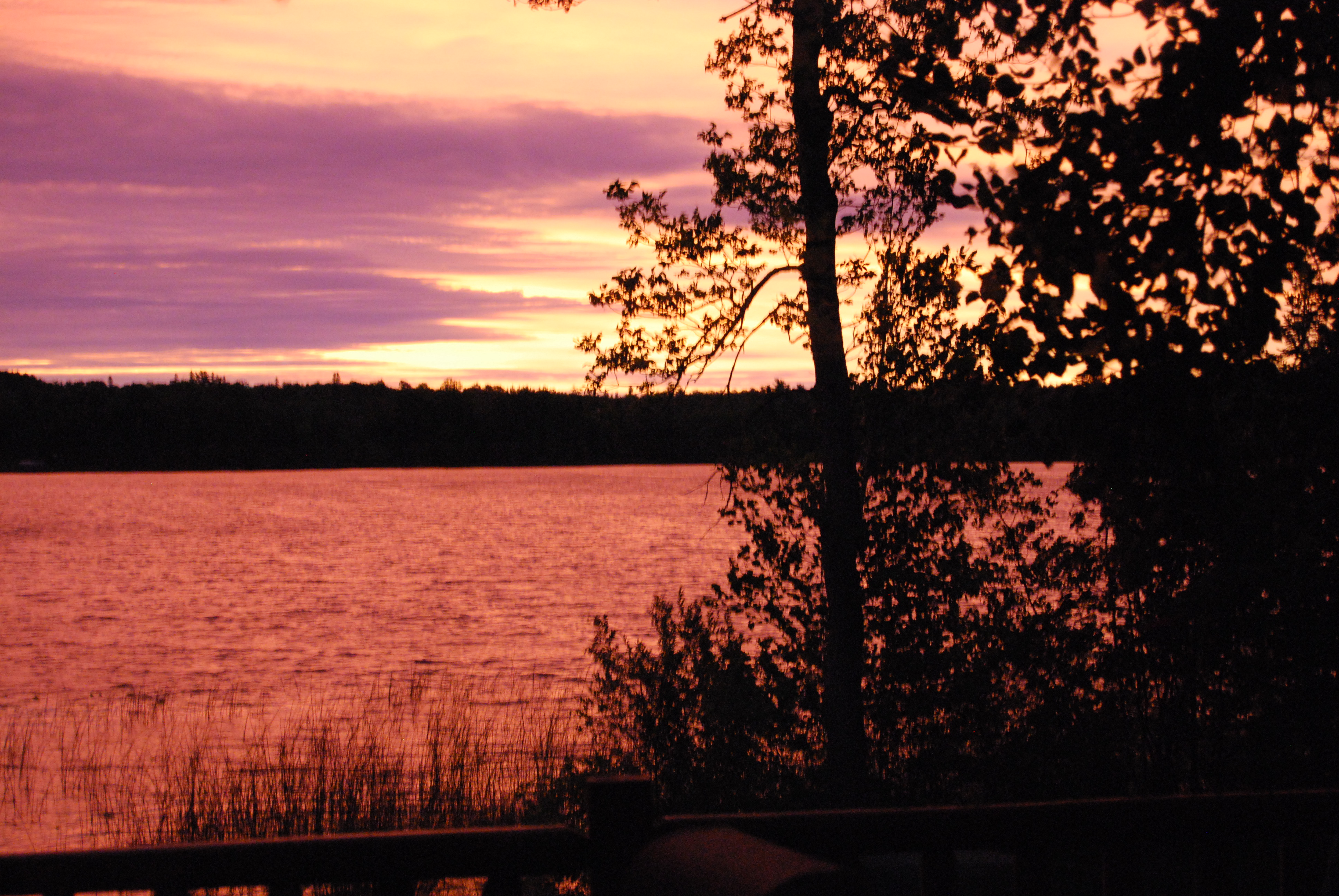 Jay Gould Lake Real Estate Jay Gould Lake Homes for Sale