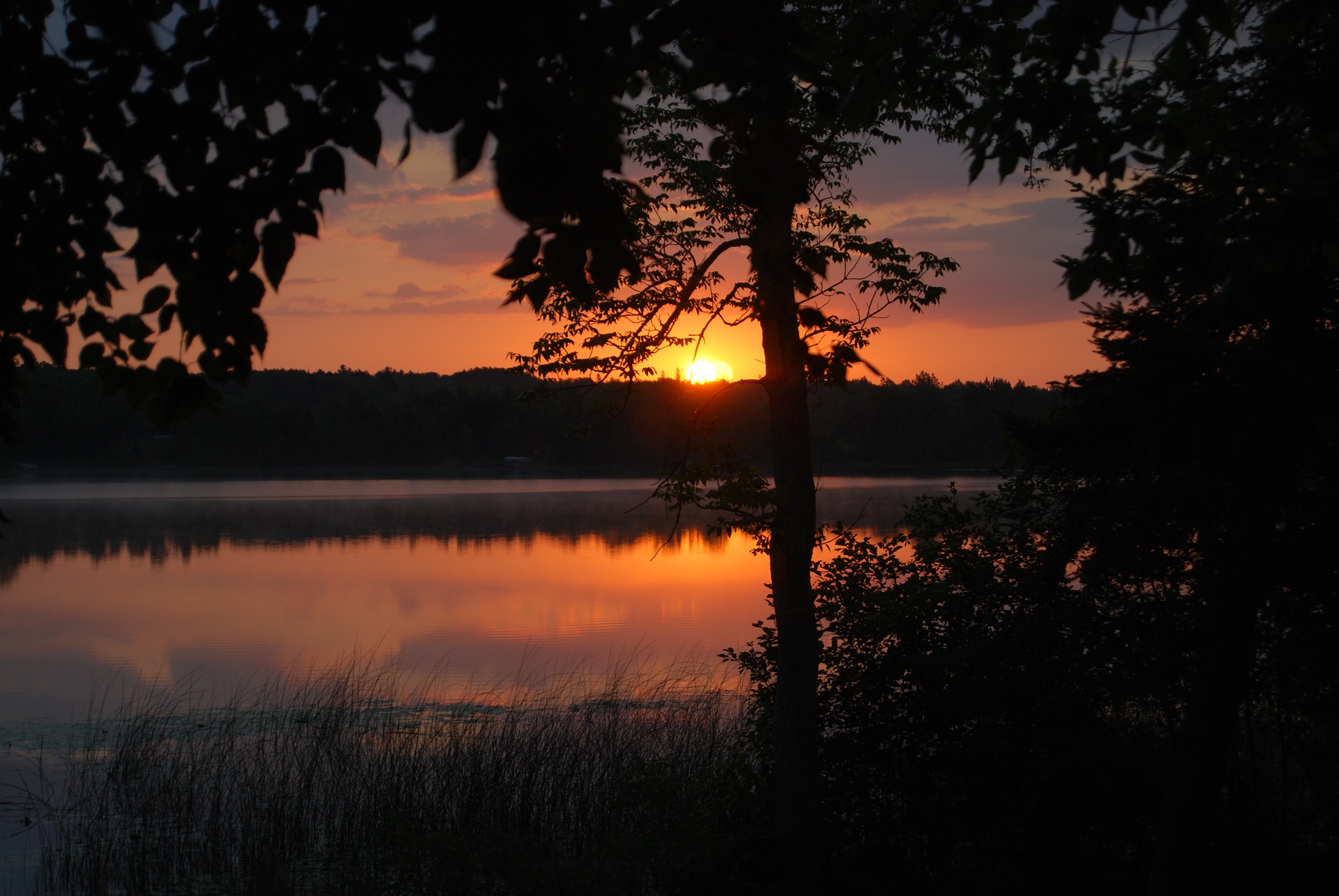 North Star Lake Real Estate North Star Lake Homes for Sale