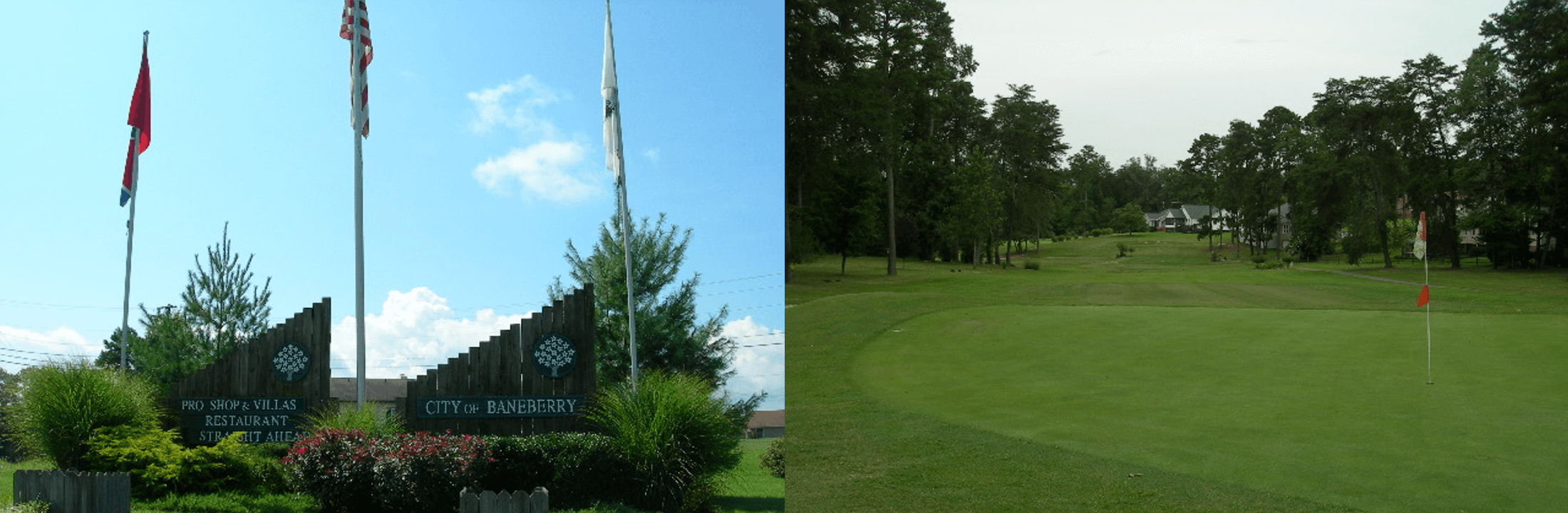 Homes for Sale in Baneberry TN