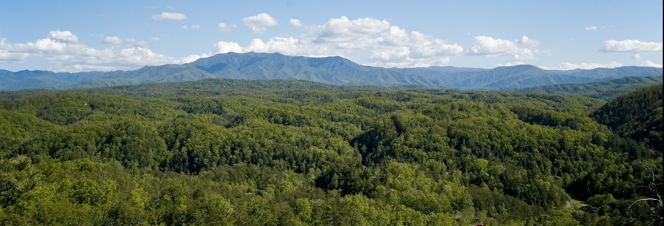 Smoky Mountain Real Estate CENTURY 21 MVP